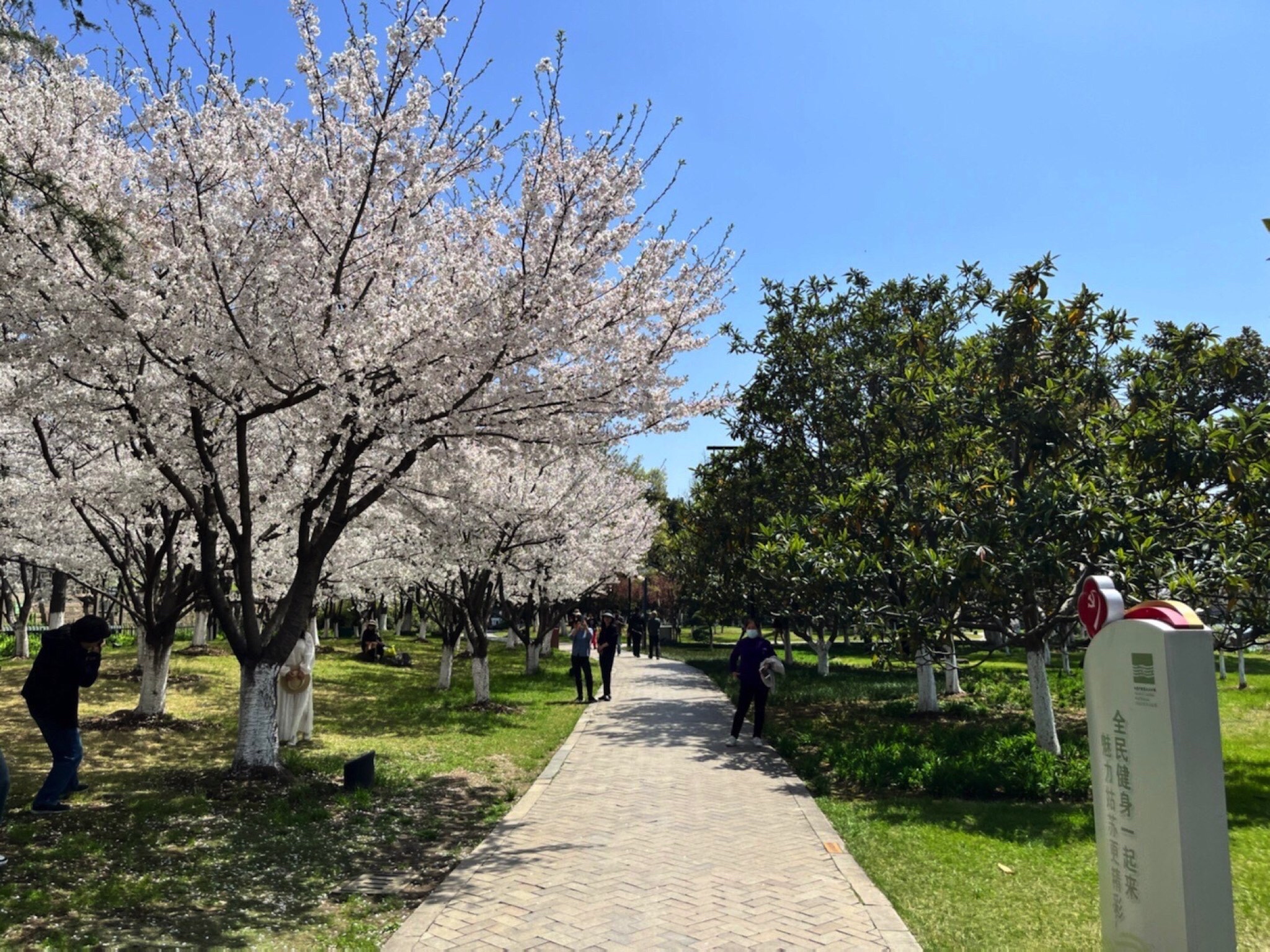 龙山公园旅行图片 1