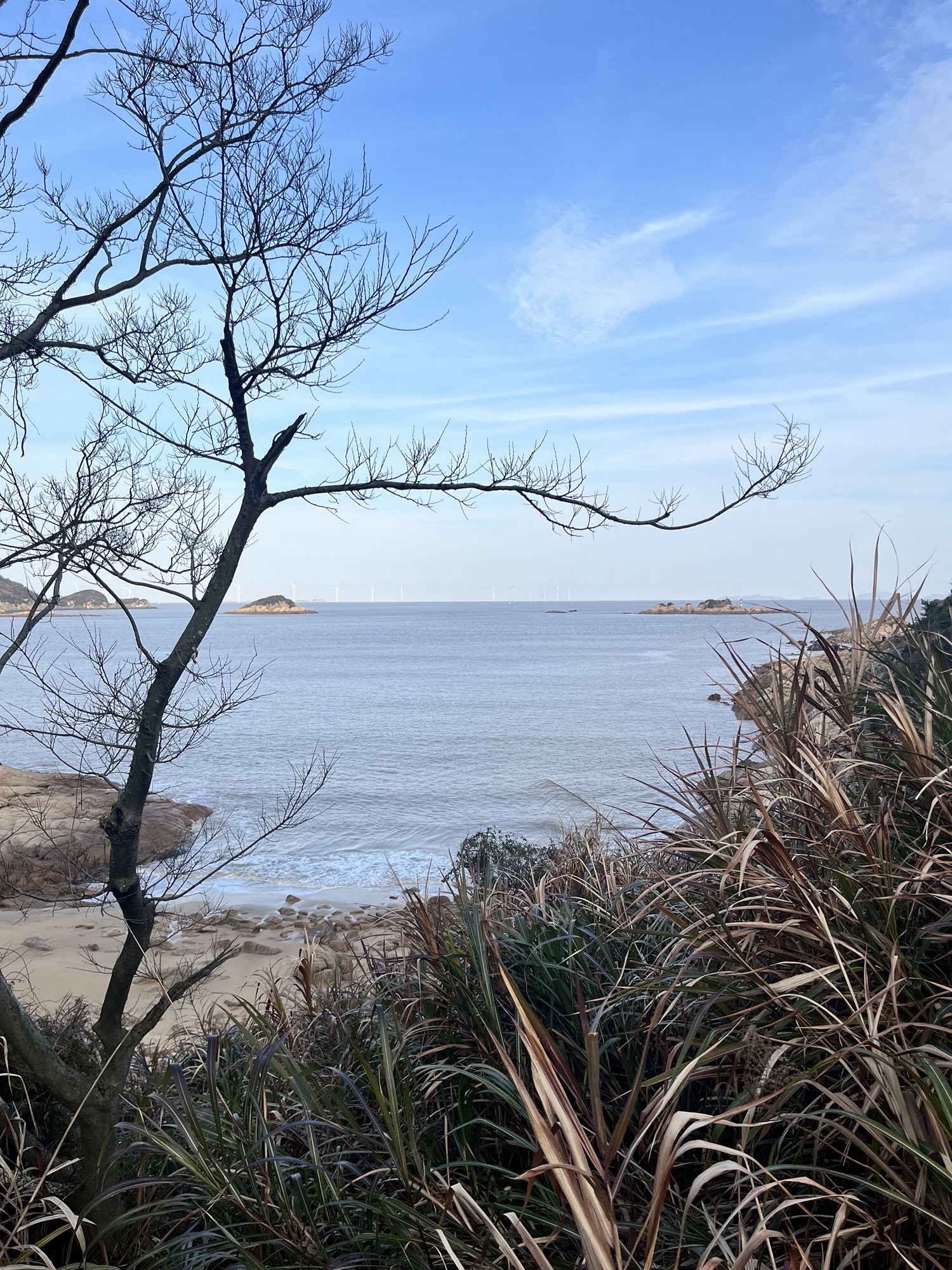 宁波松兰山滨海旅游度假区旅行图片 3