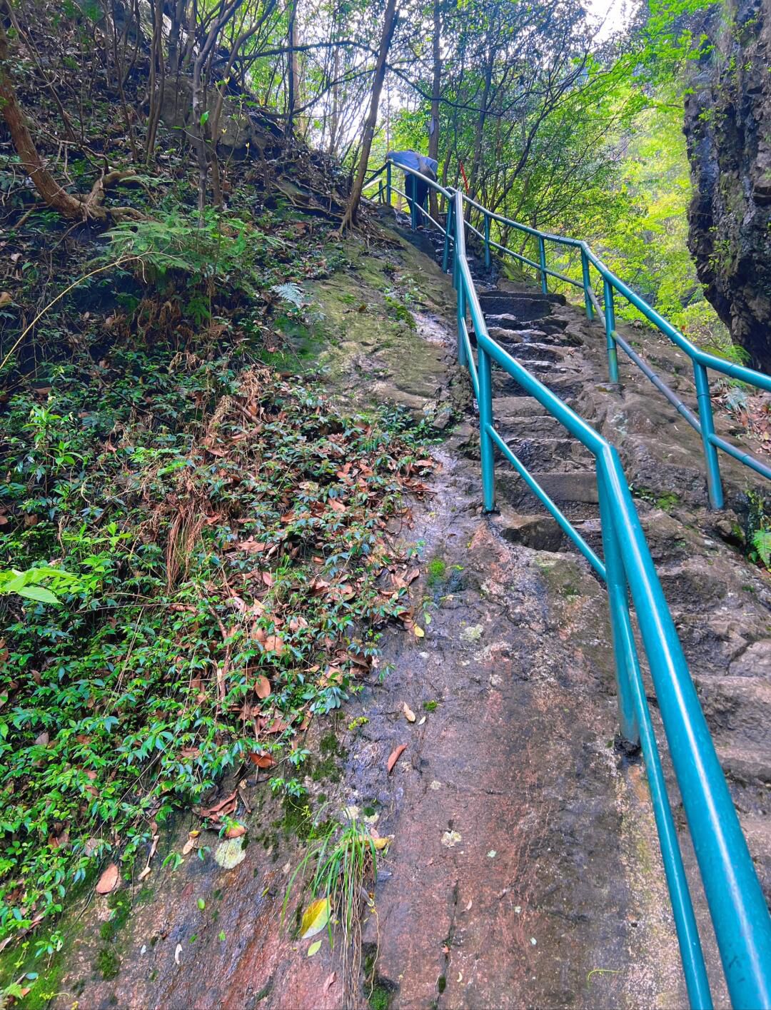 宁波五龙潭风景名胜区旅行图片 2