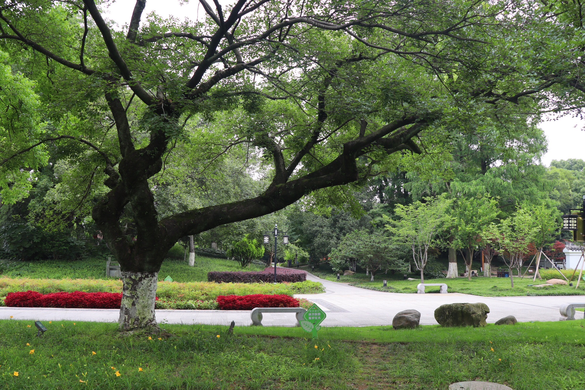 文化广场旅行图片 1