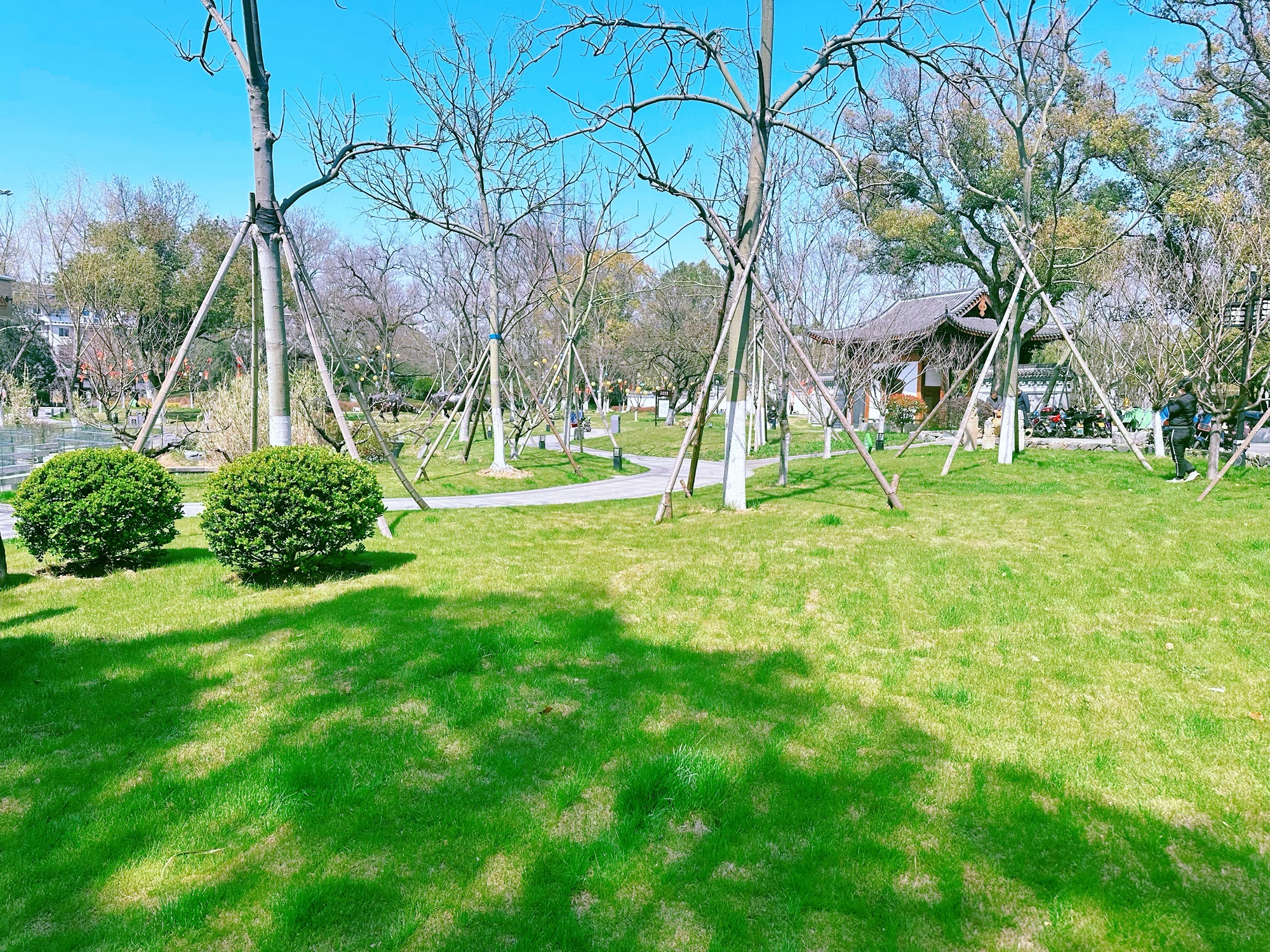 文化广场旅行图片 1