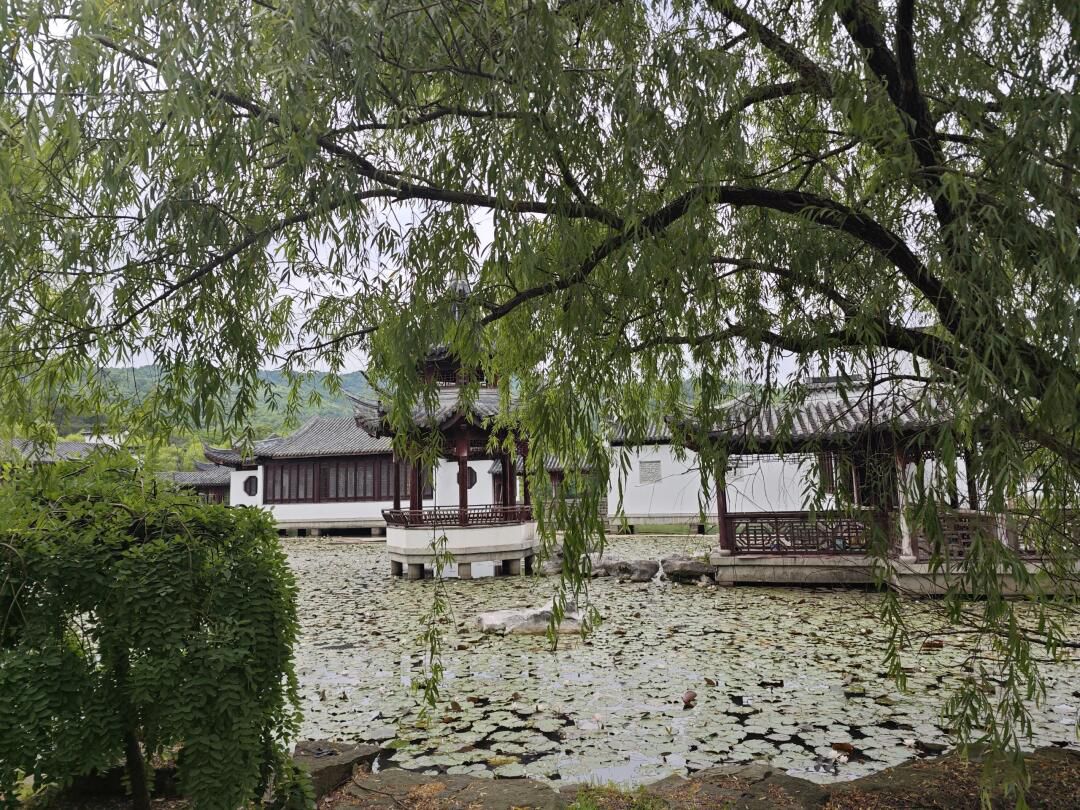 天下玉苑旅行图片 2