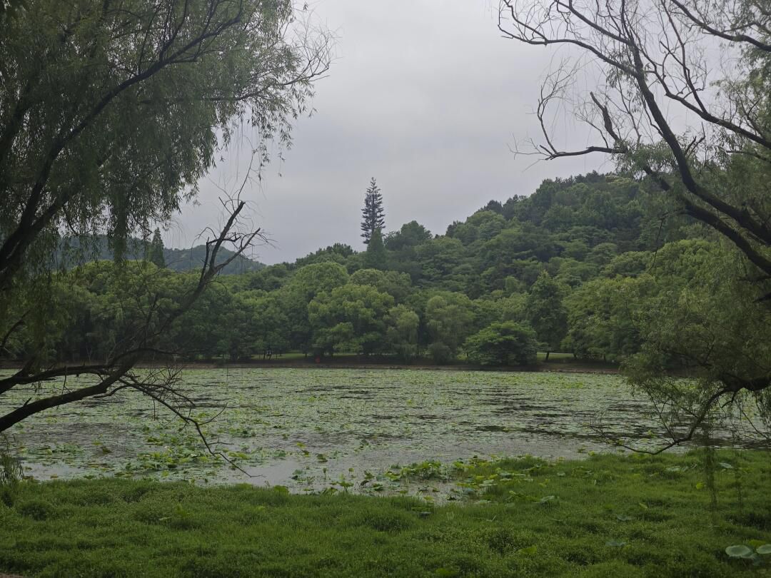 天下玉苑旅行图片 3