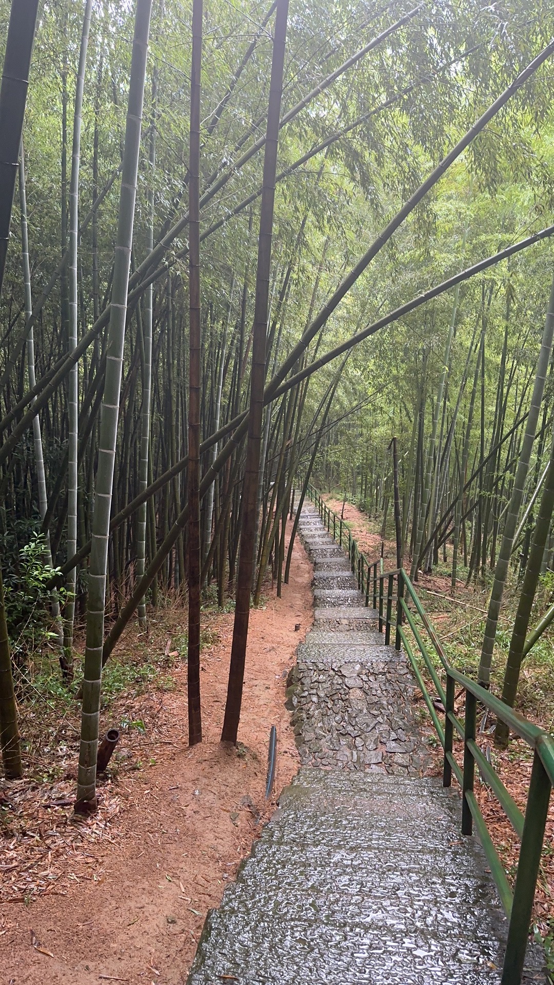 九龙湖旅游区旅行图片 1