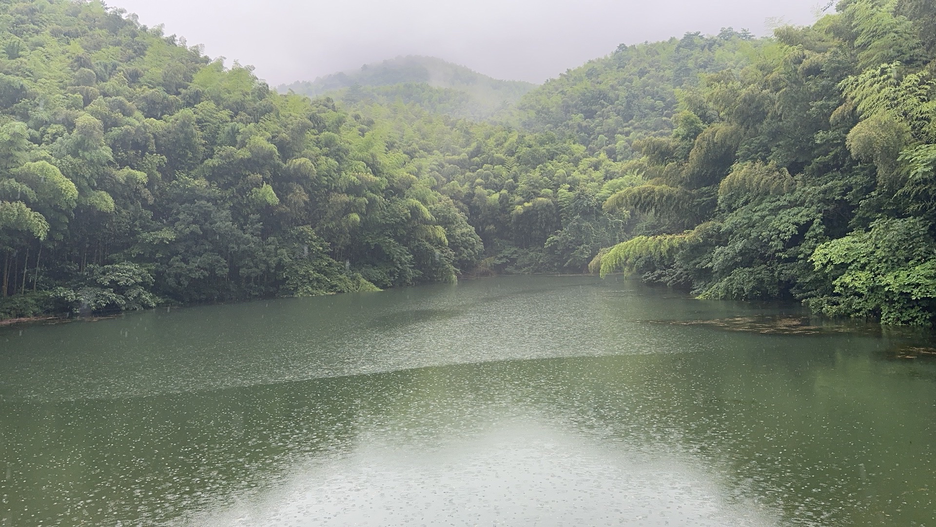 九龙湖旅游区旅行图片 2