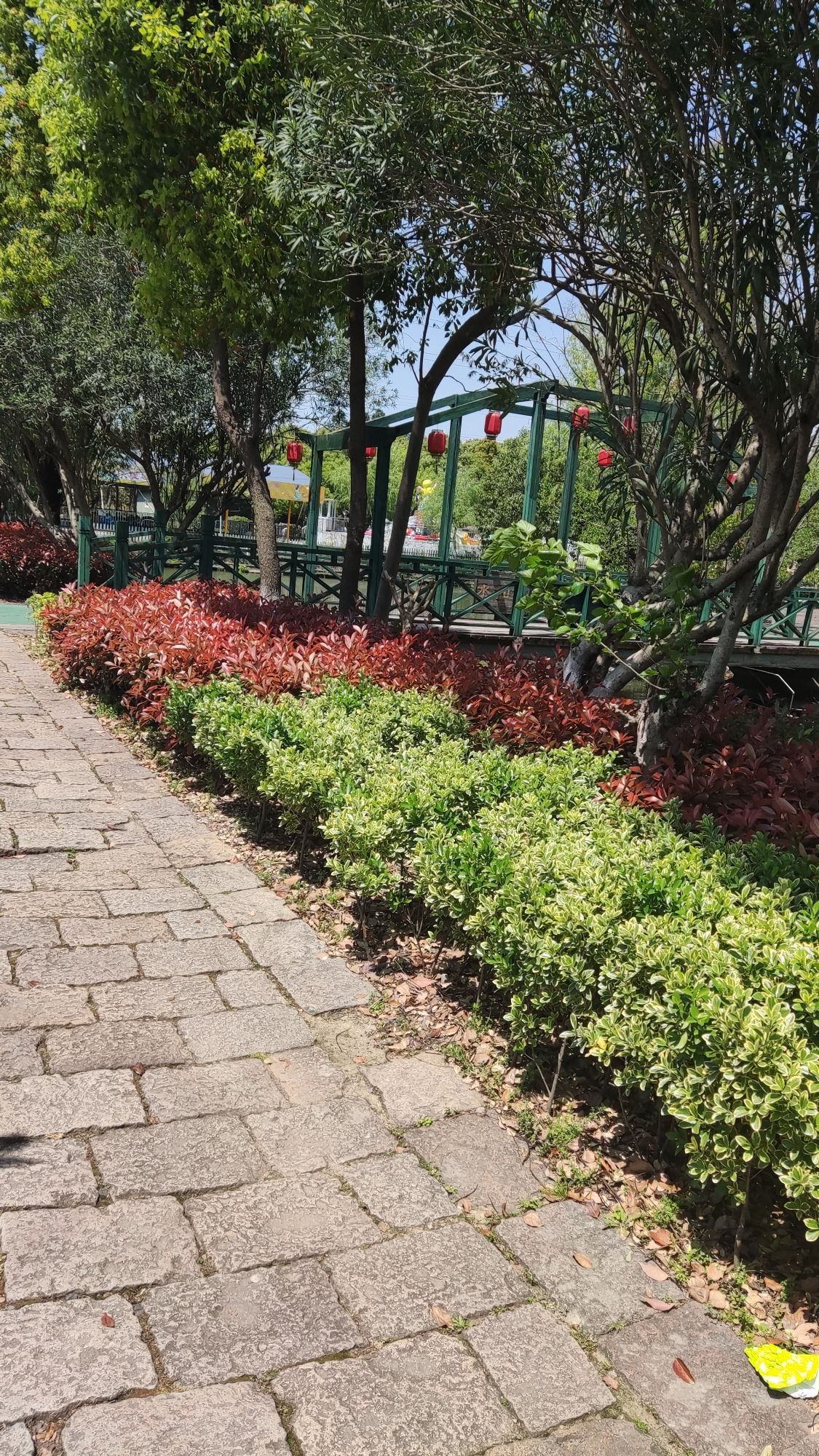 东升公园旅行图片 3