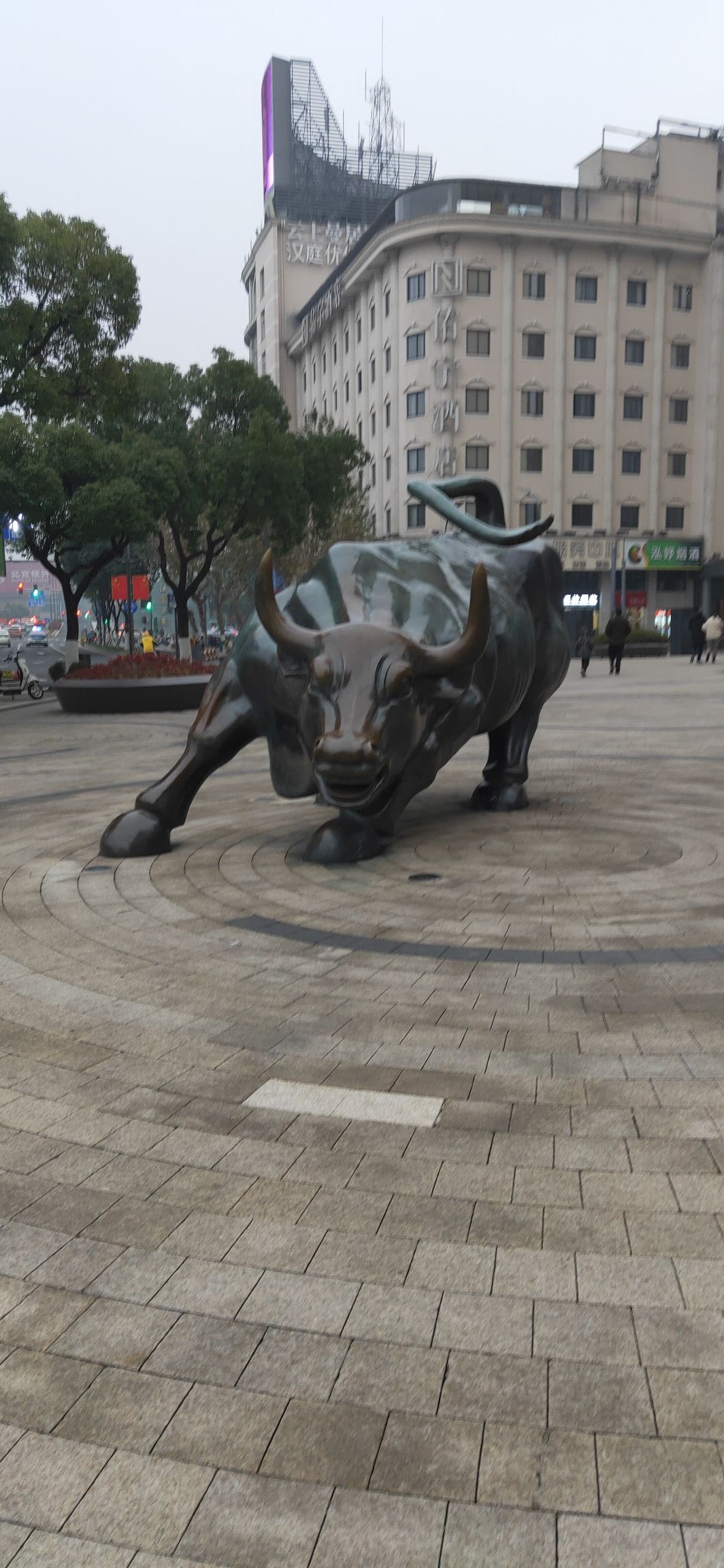 江厦公园旅行图片 2