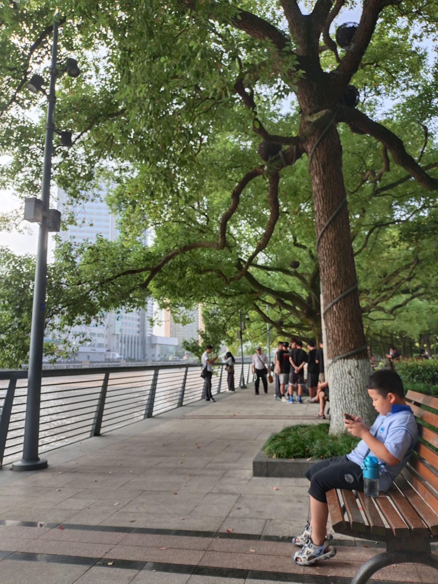 江厦公园旅行图片 1