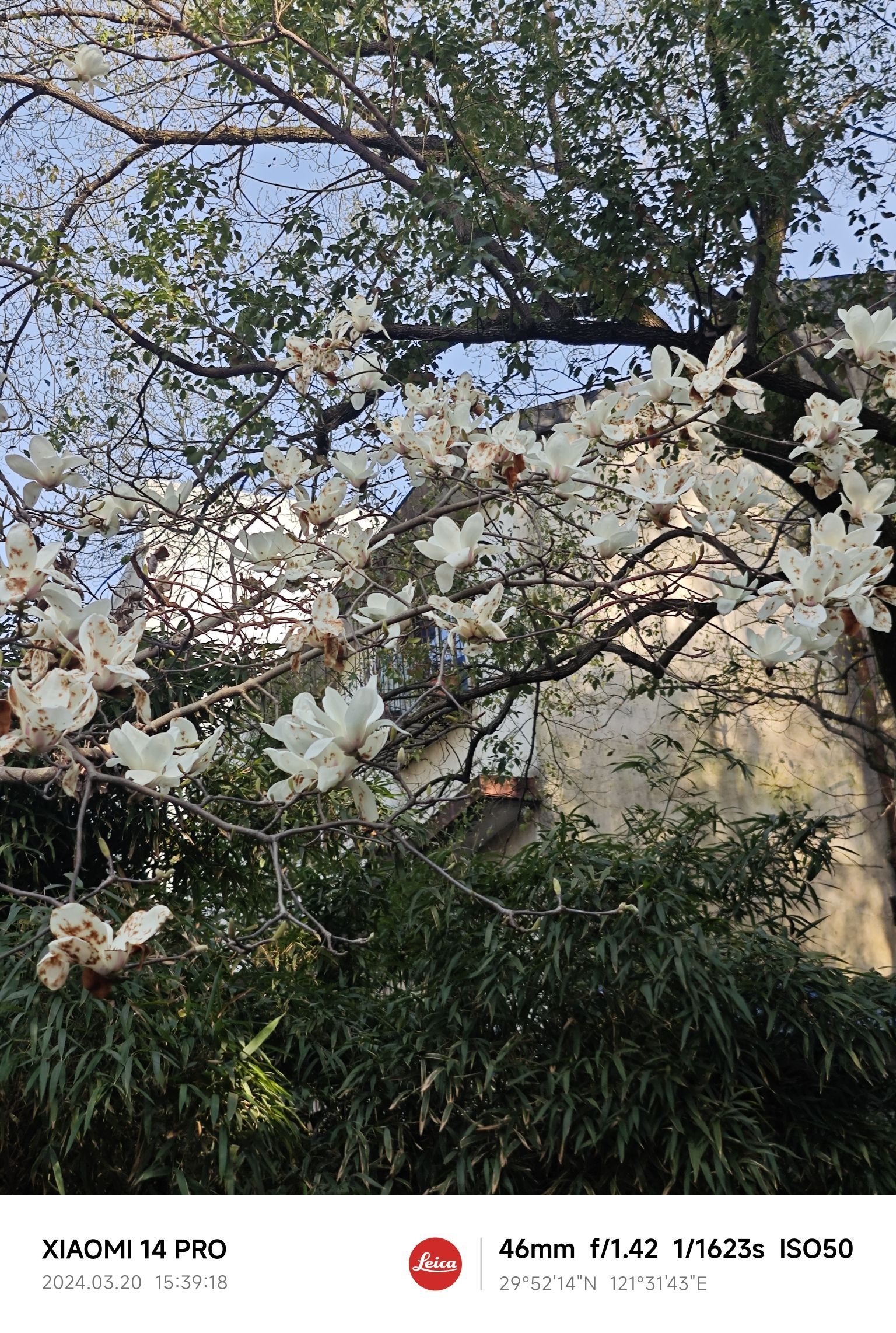 马园法治文化公园旅行图片 2
