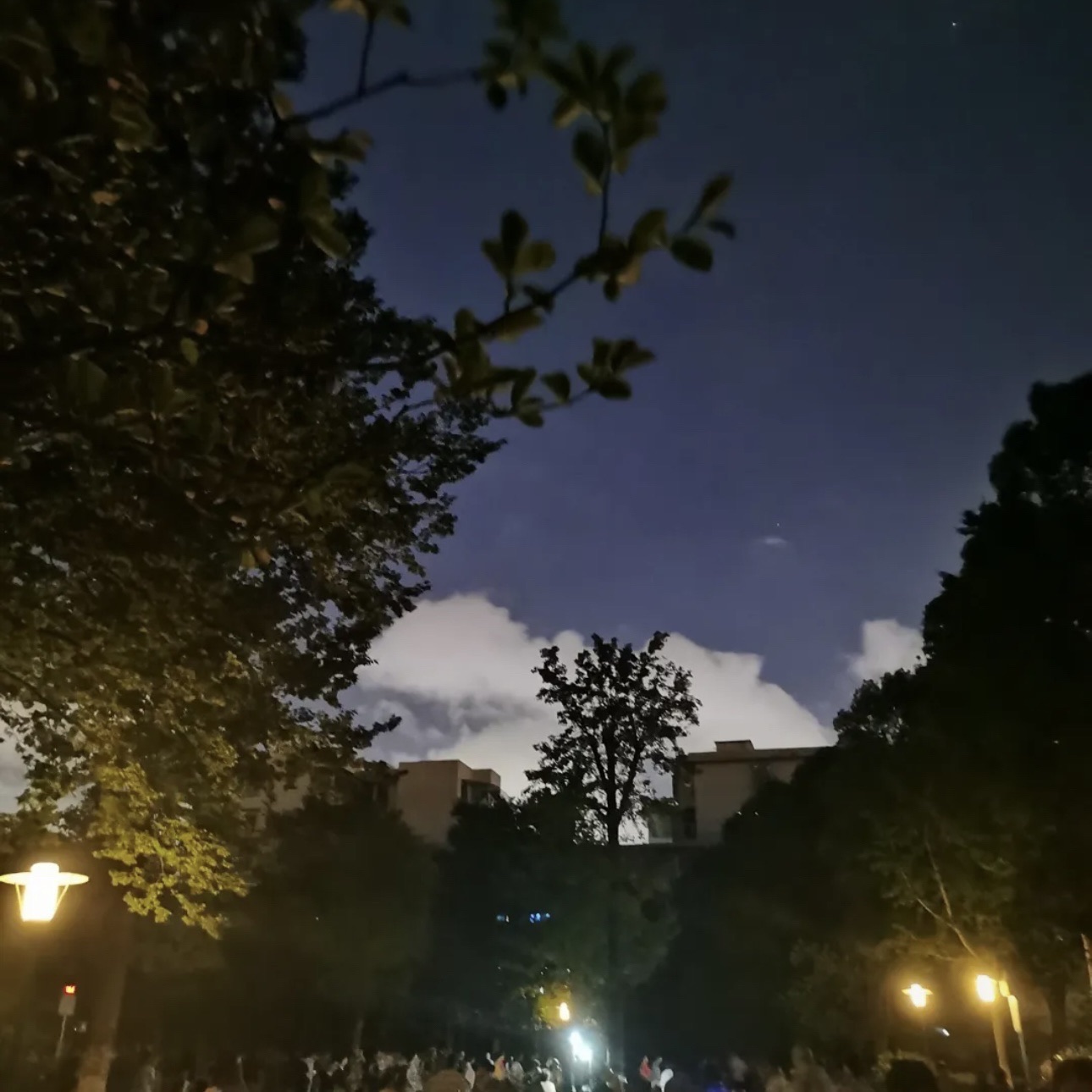 宋诏桥公园旅行图片 1