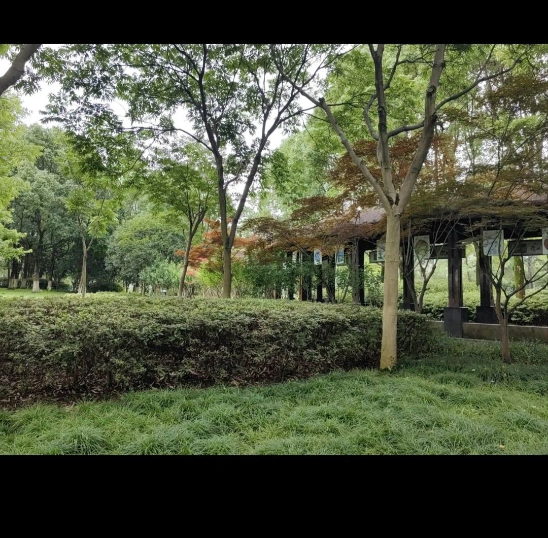 福民公园旅行图片 3