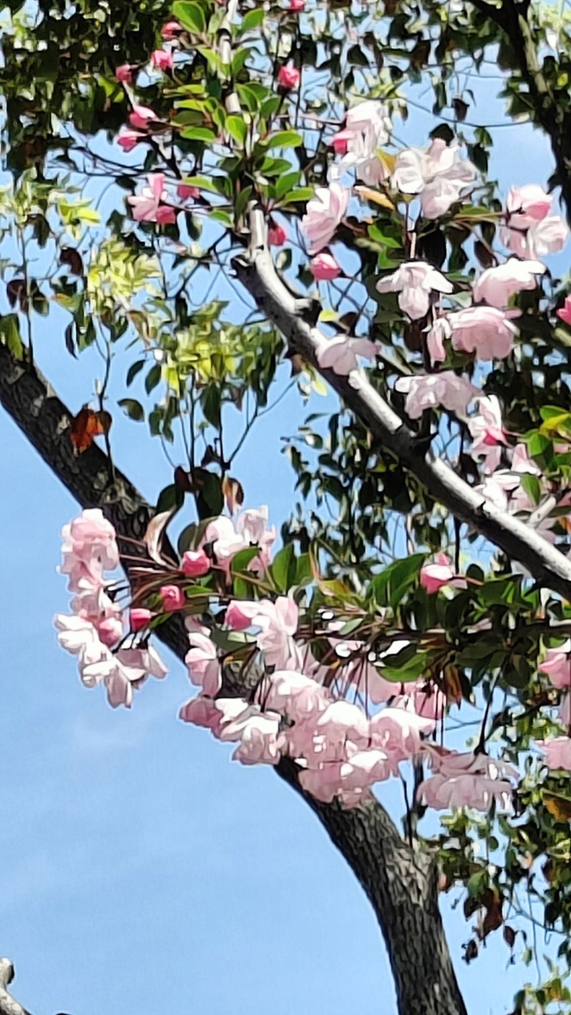 东钱湖风景名胜区旅行图片 1