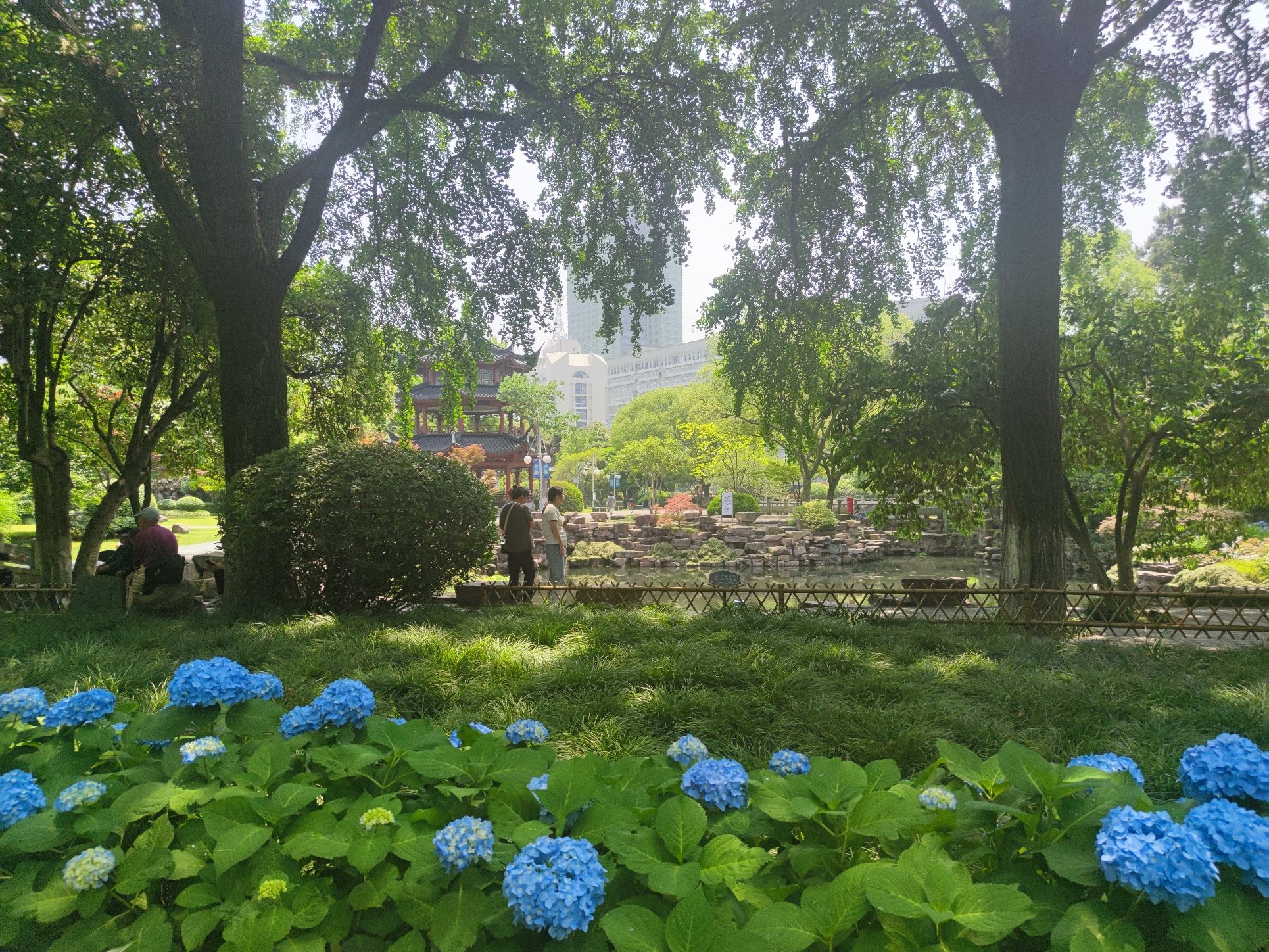 中山公园旅行图片 2