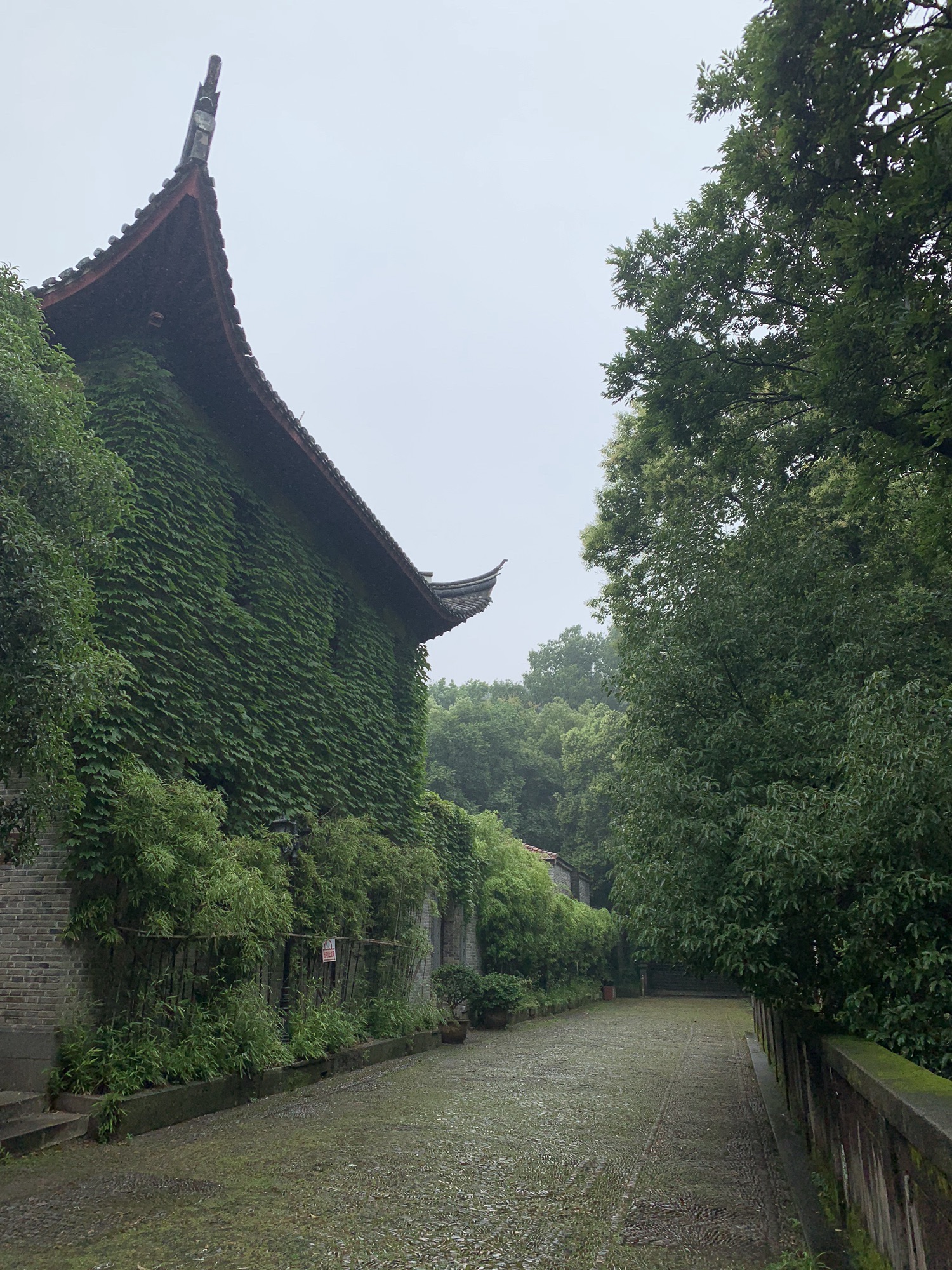 中山公园旅行图片 3
