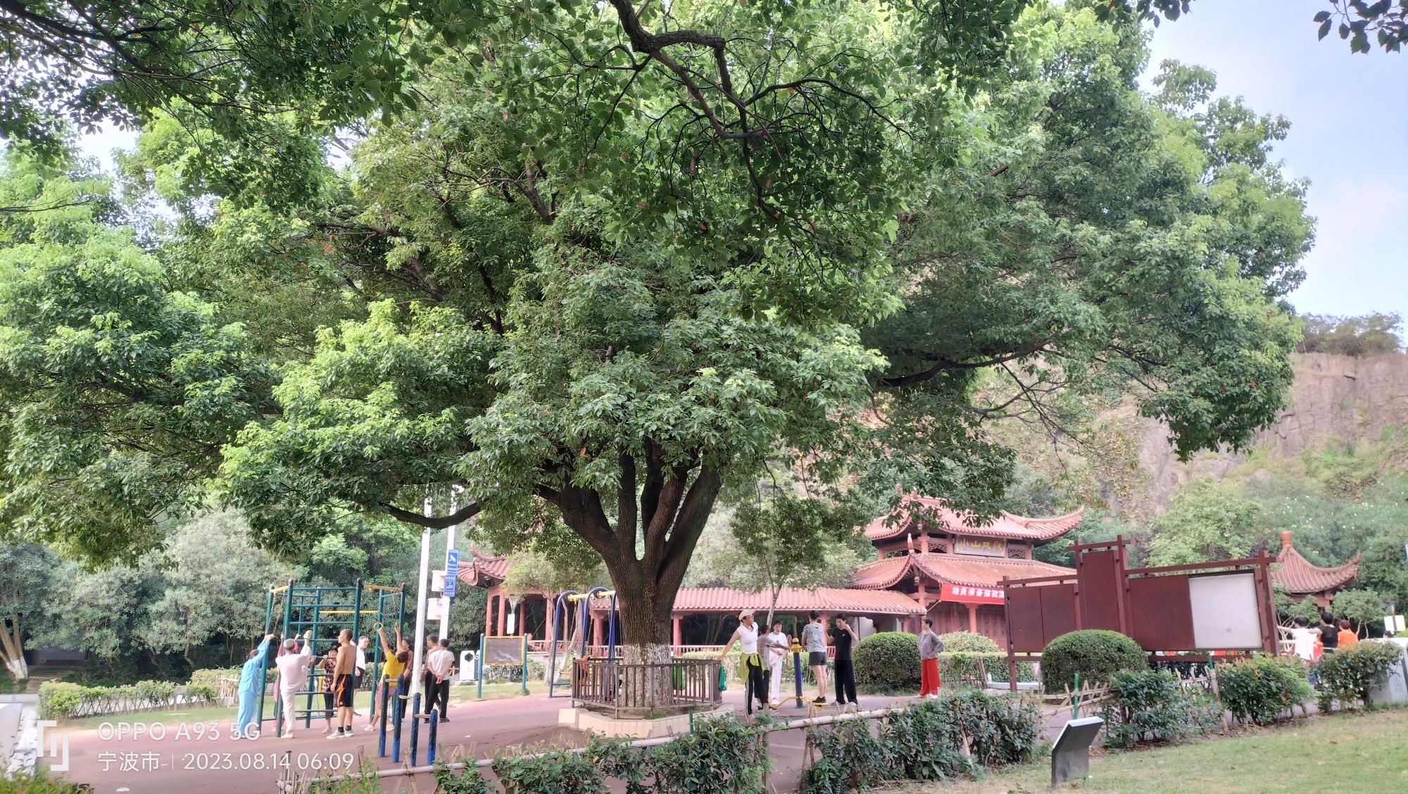 小山公园旅行图片 3