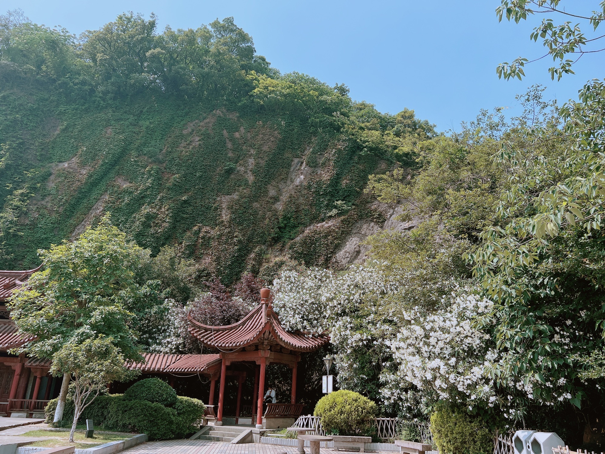 小山公园旅行图片 3