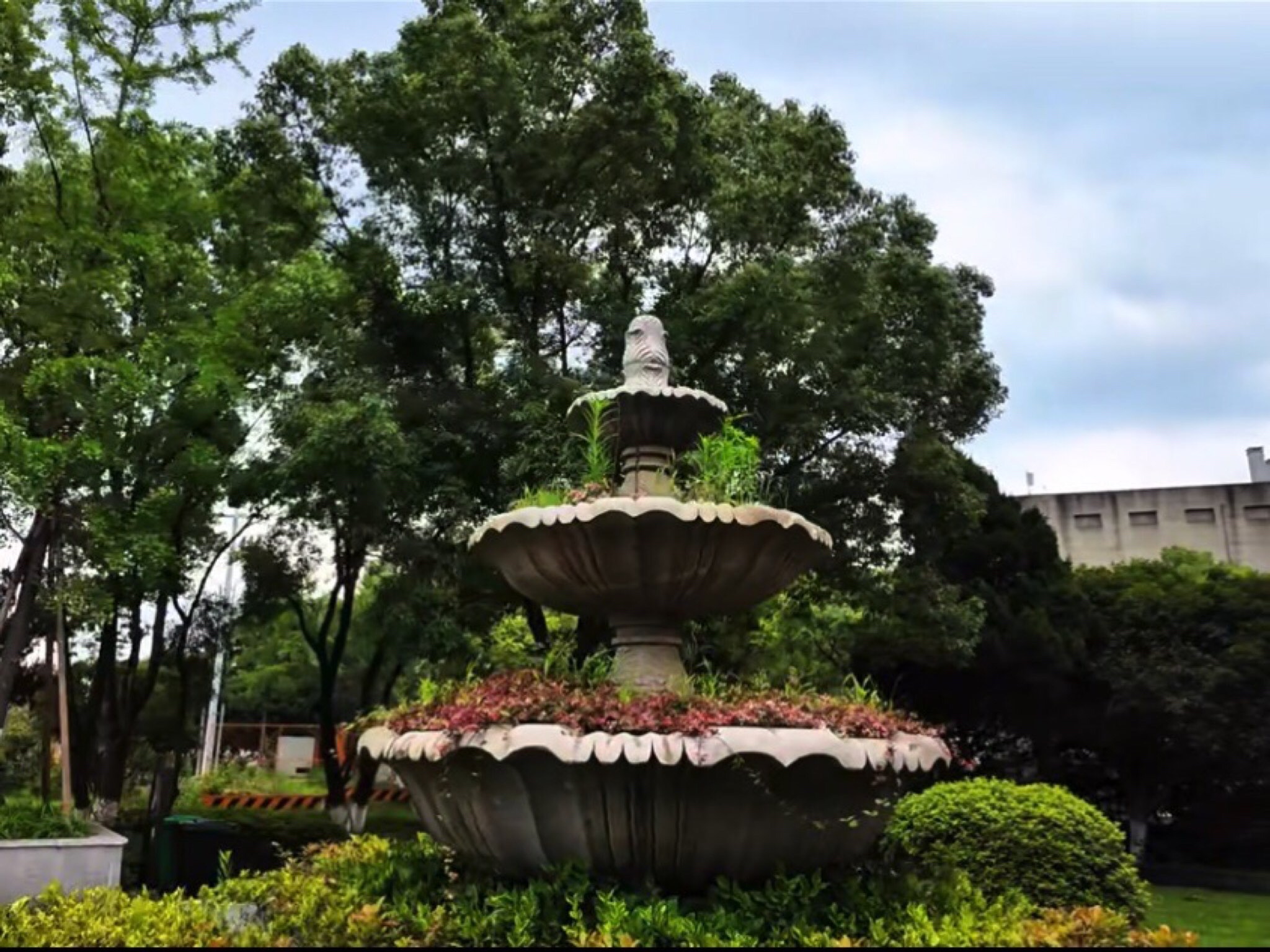 邱隘公园旅行图片 2