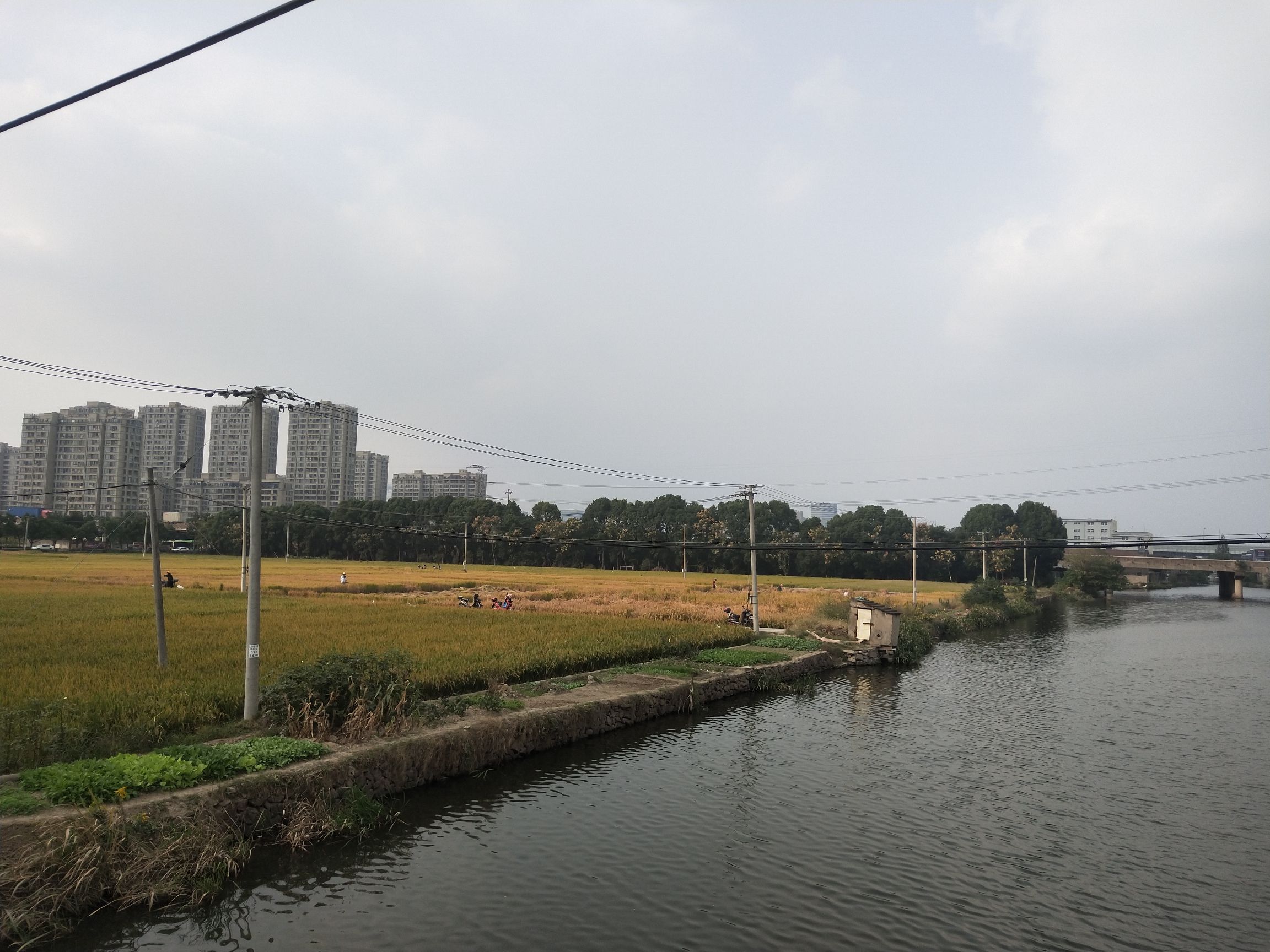 邱隘公园旅行图片 3