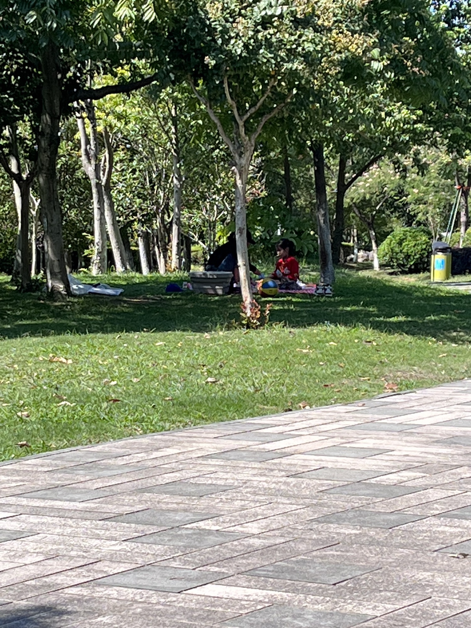 柔石公园旅行图片 3
