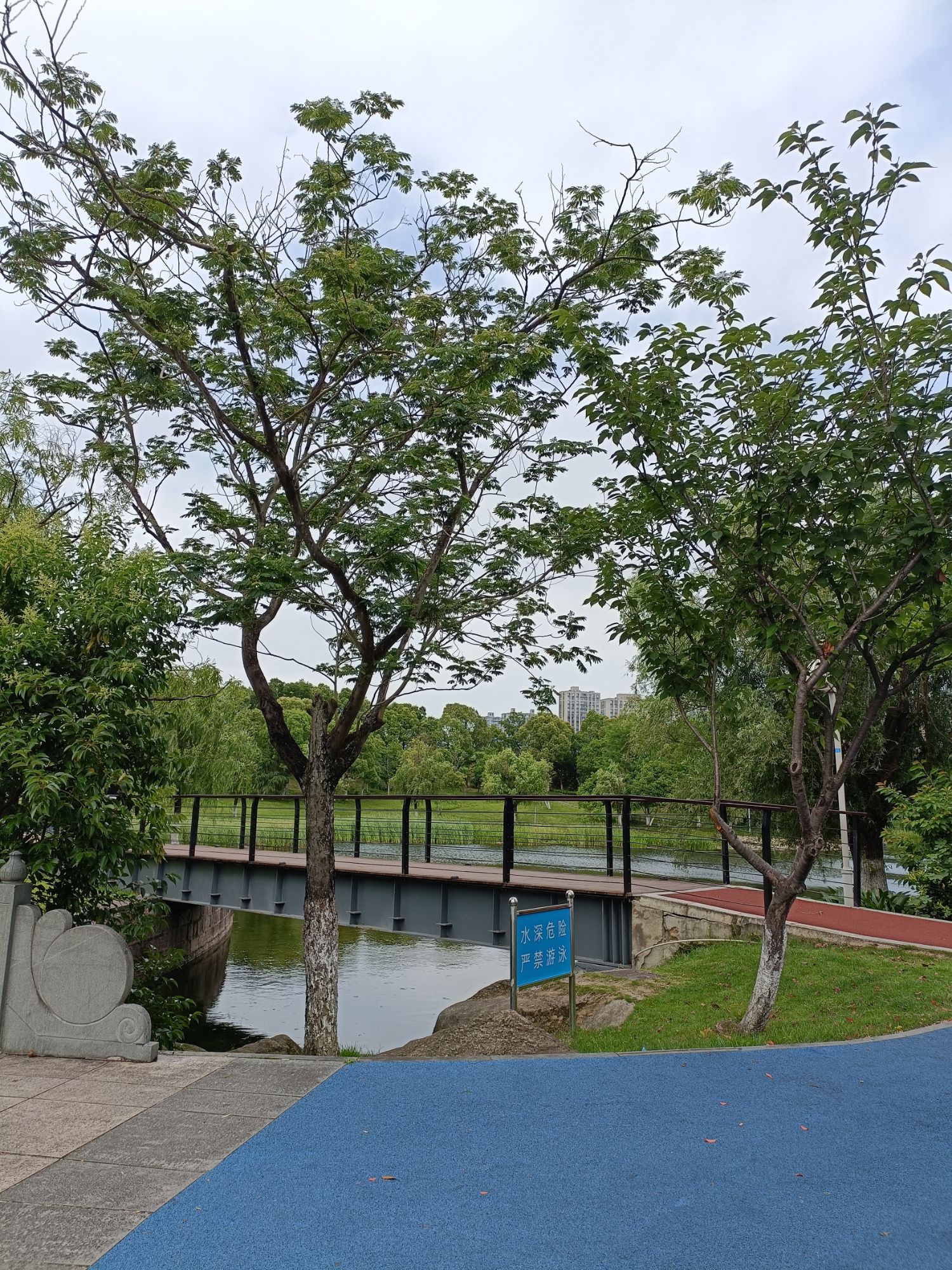 柔石公园旅行图片 2