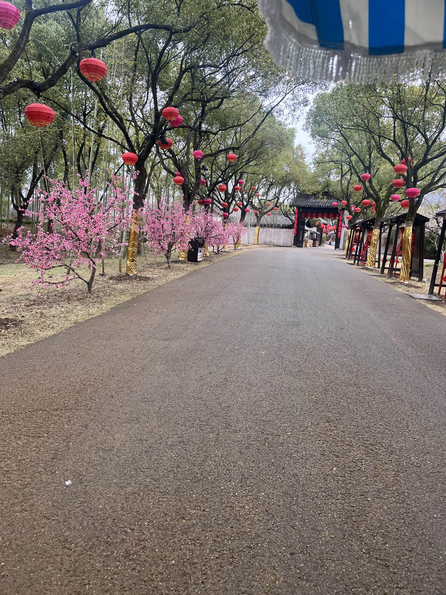 象山影视城旅行图片 3