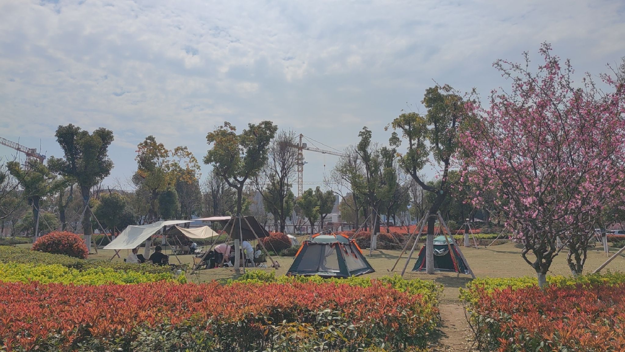 甬江公园旅行图片 1