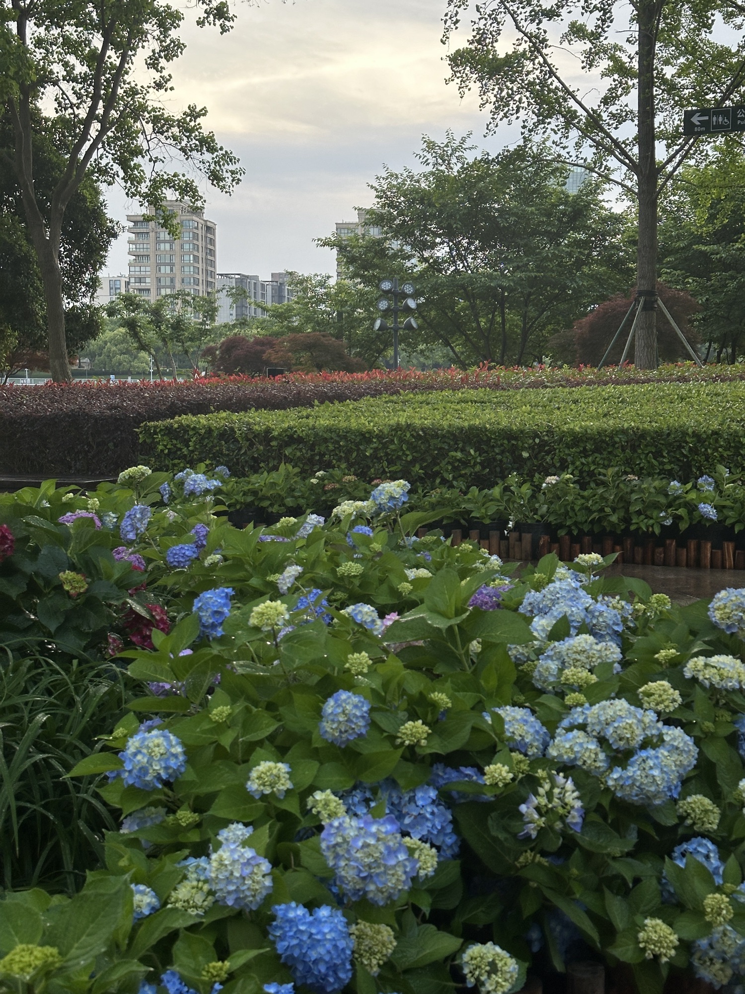 绿岛公园旅行图片 3