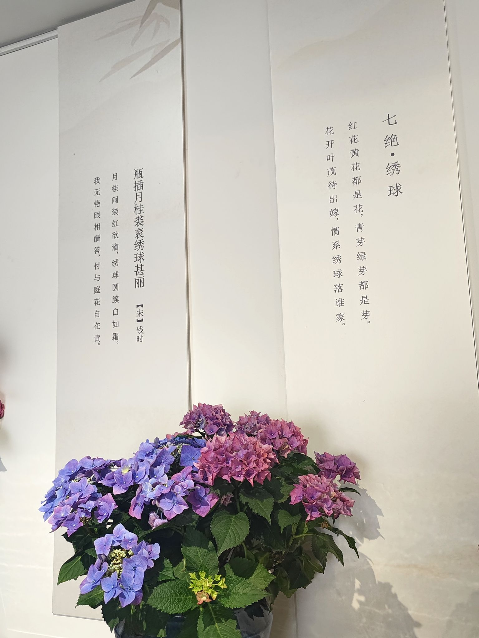 绿岛公园旅行图片 3