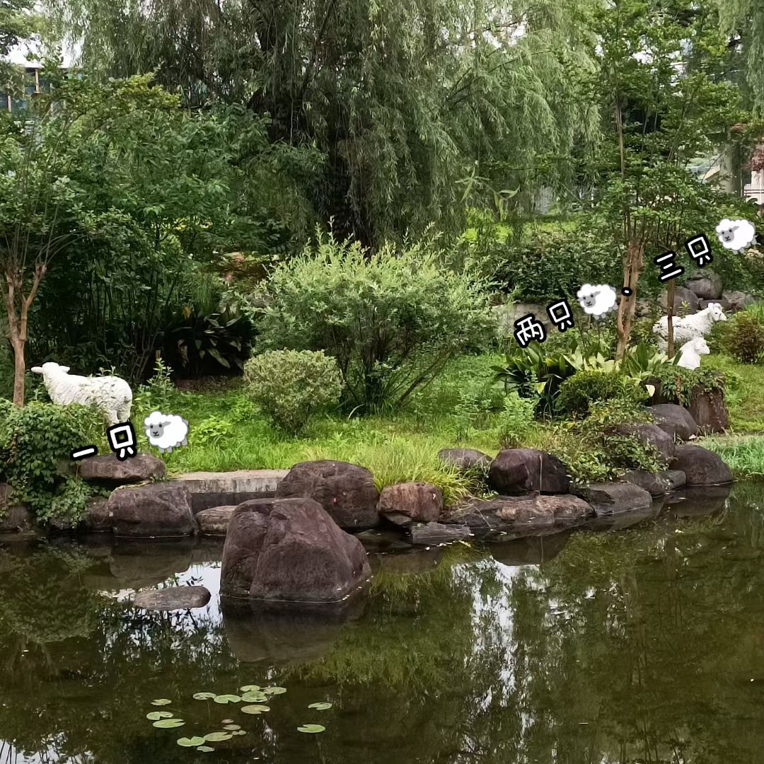 绿岛公园旅行图片 1
