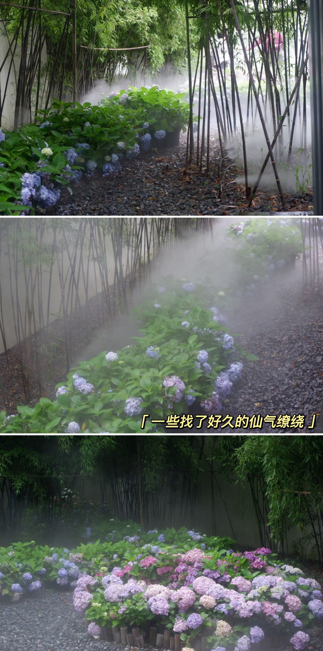 绿岛公园旅行图片 3