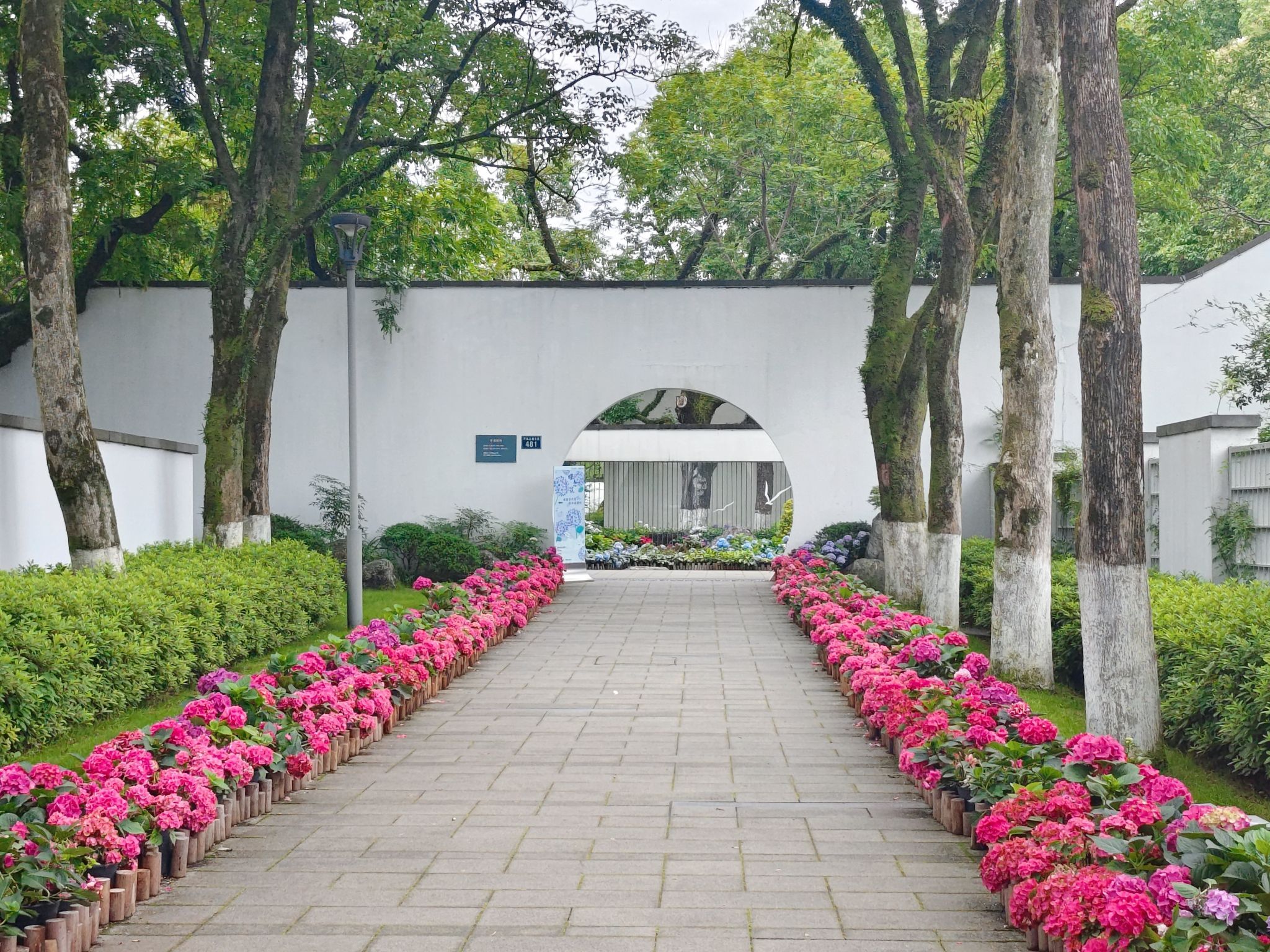 绿岛公园旅行图片 1