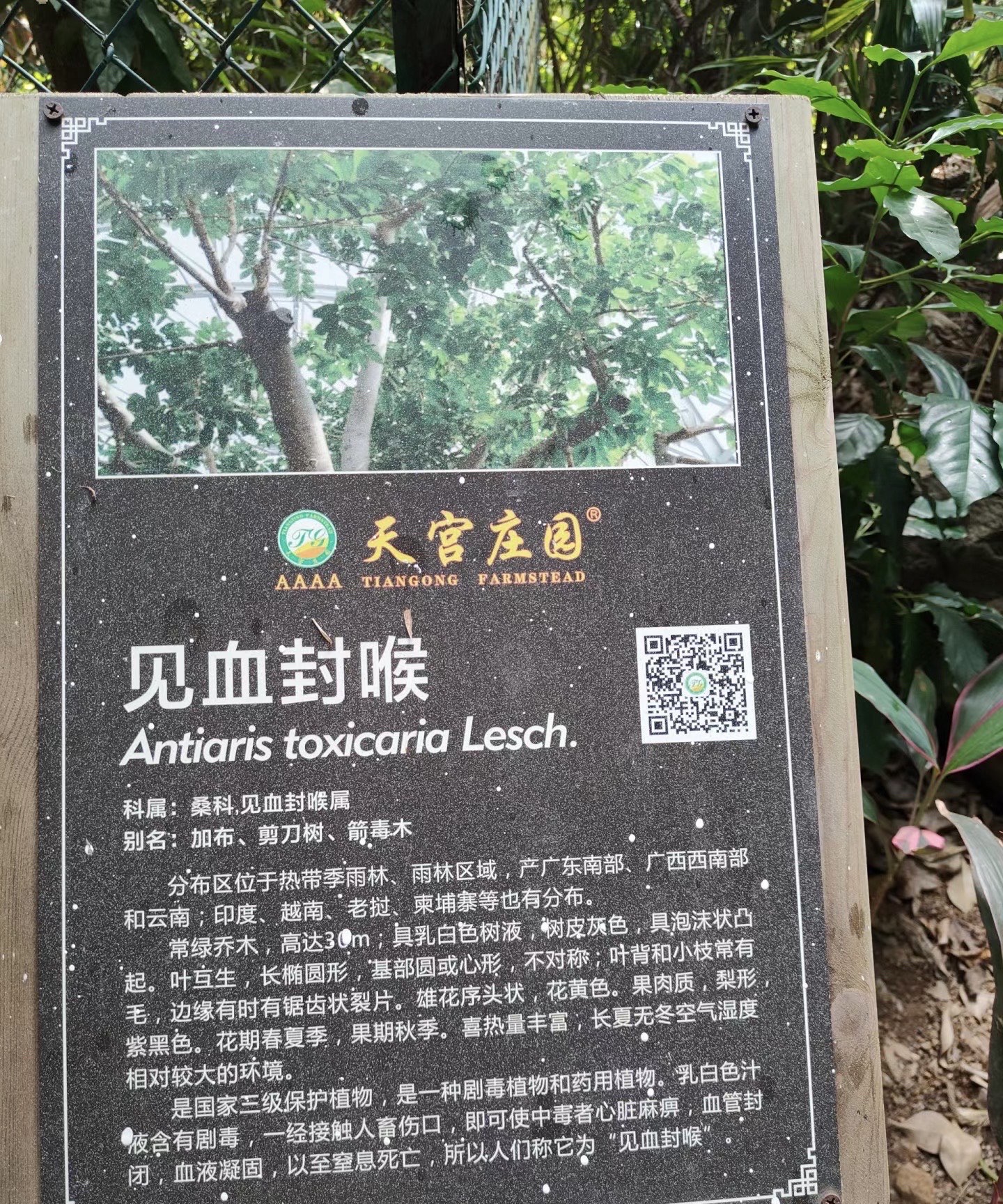 天宫庄园旅行图片 3