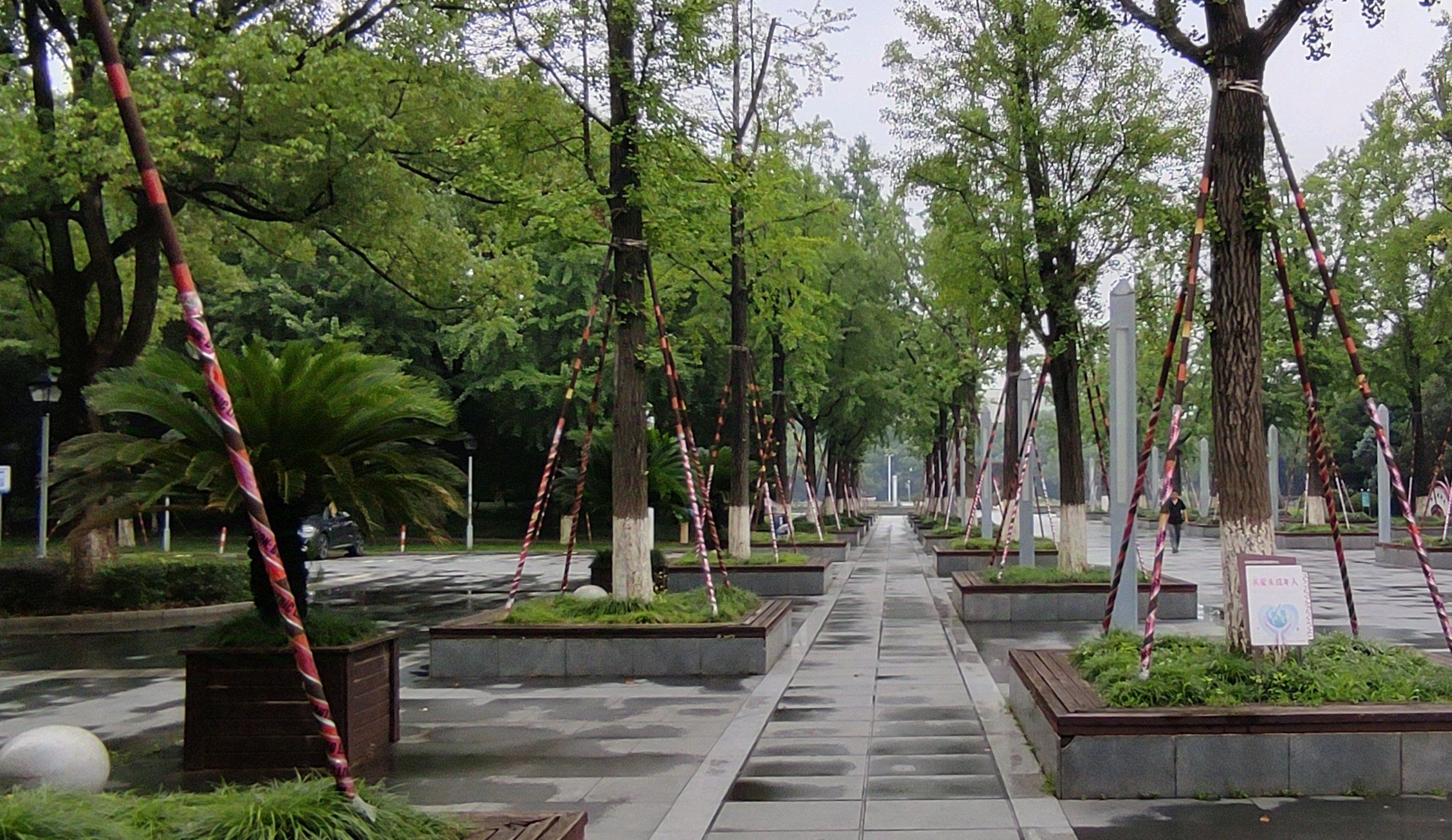 舜北公园旅行图片 1