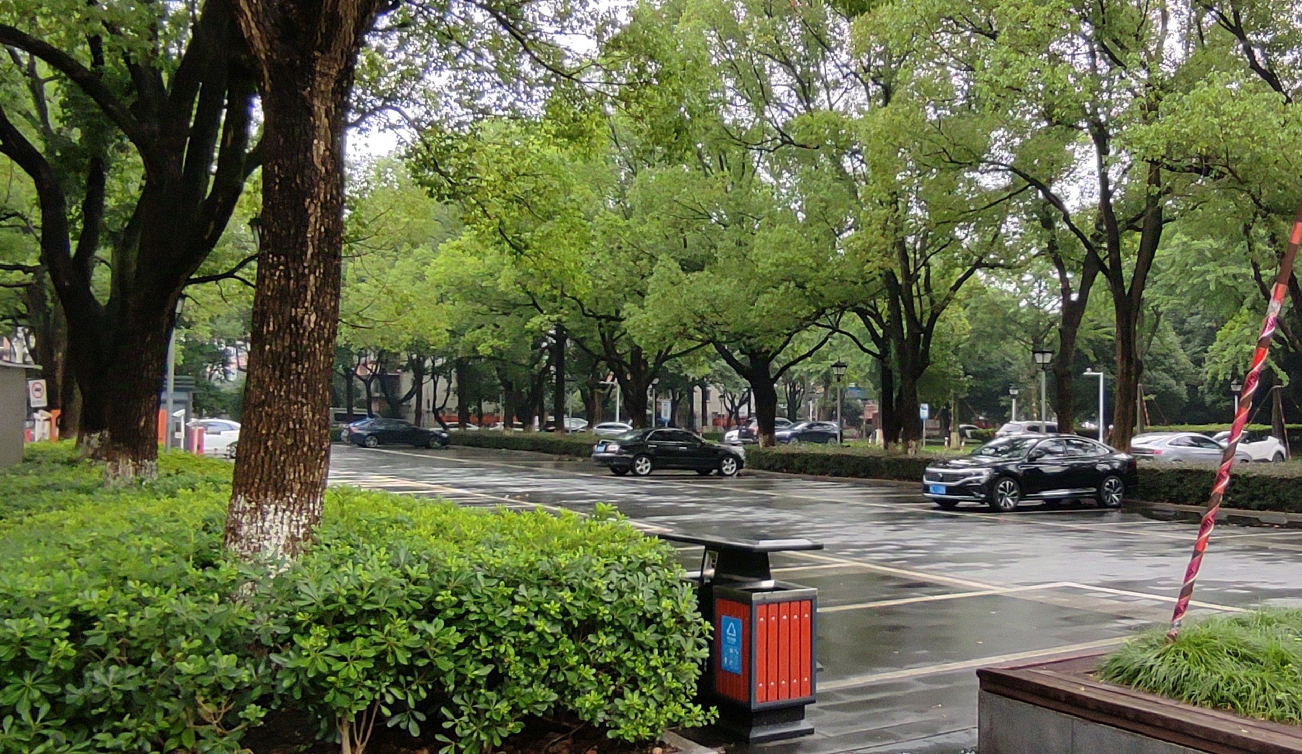 舜北公园旅行图片 3
