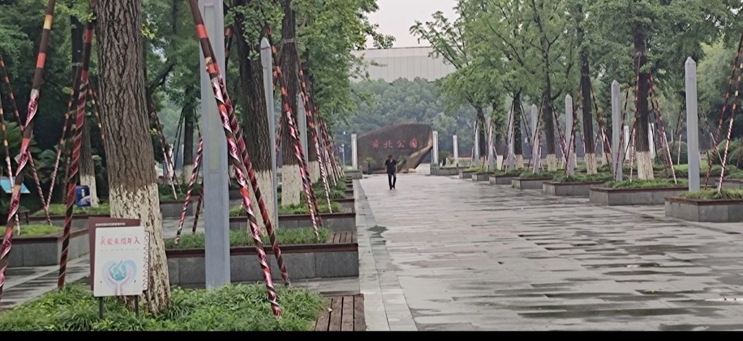 舜北公园旅行图片 1