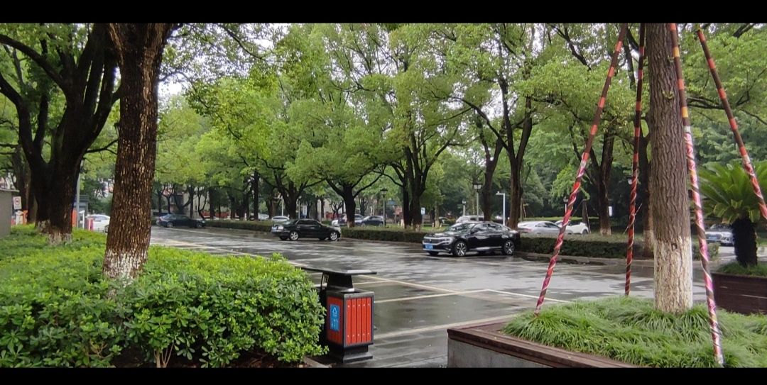 舜北公园旅行图片 2