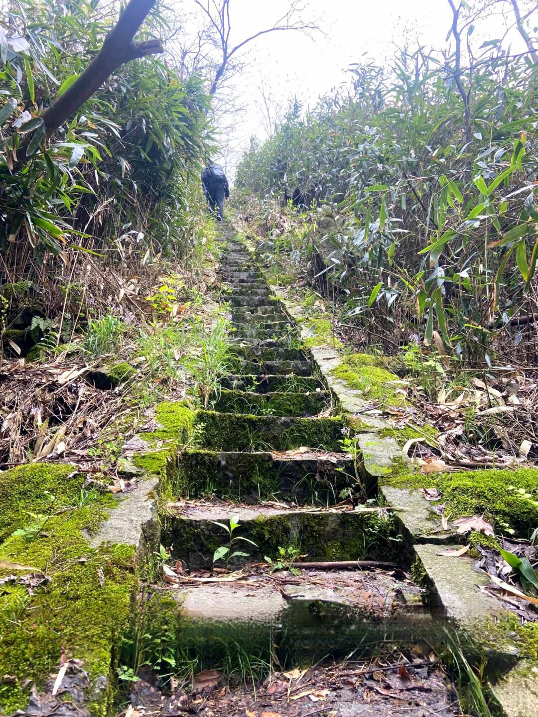 白水冲瀑布旅行图片 2