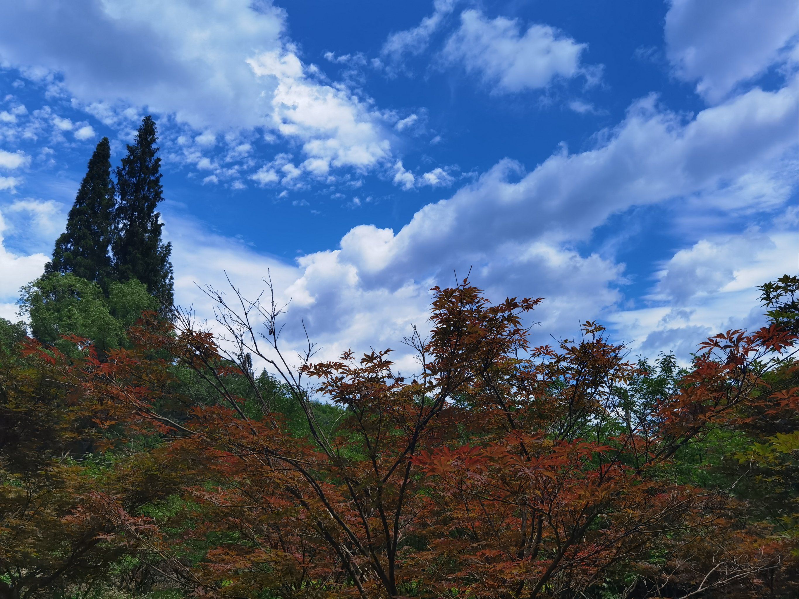 河姆渡古村落旅行图片 2