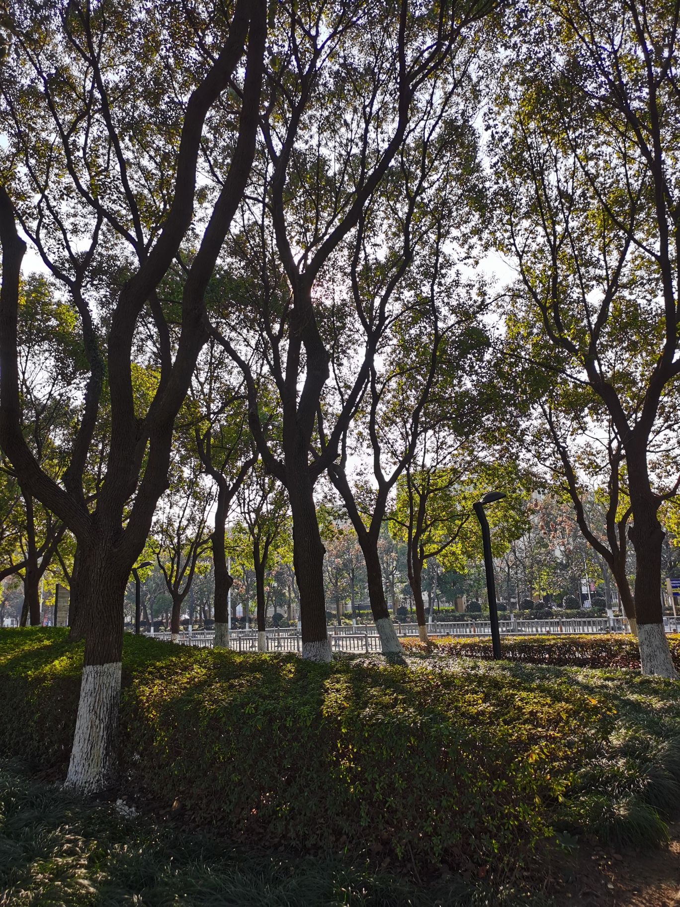 宁波帮文化公园旅行图片 3