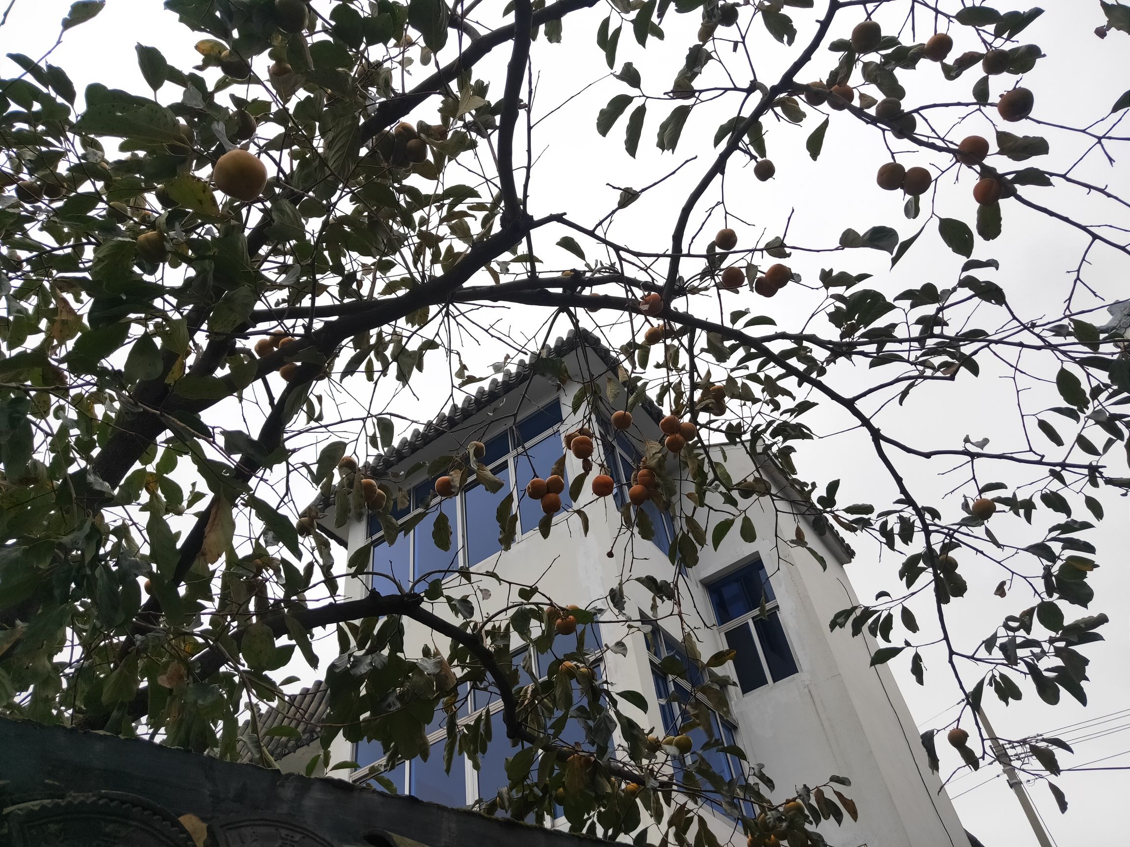 宁波帮文化公园旅行图片 2