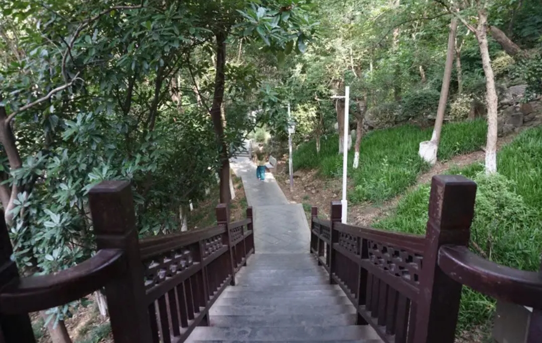 教场山公园旅行图片 1