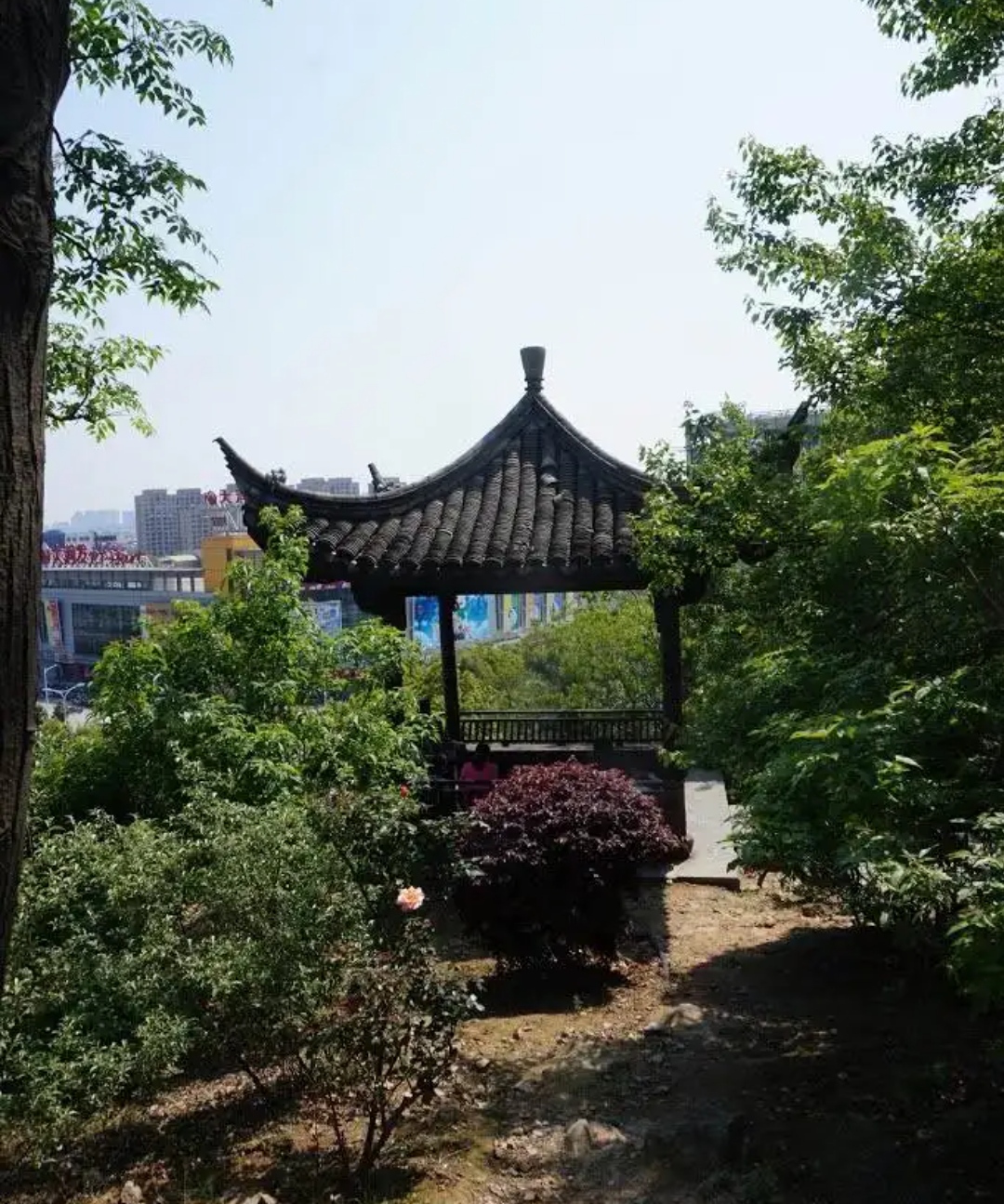 教场山公园旅行图片 3