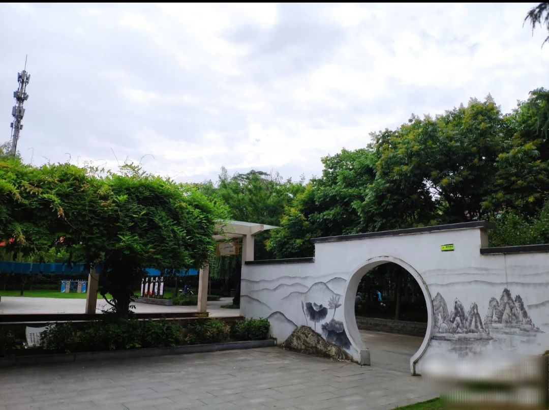 岳林公园旅行图片 1