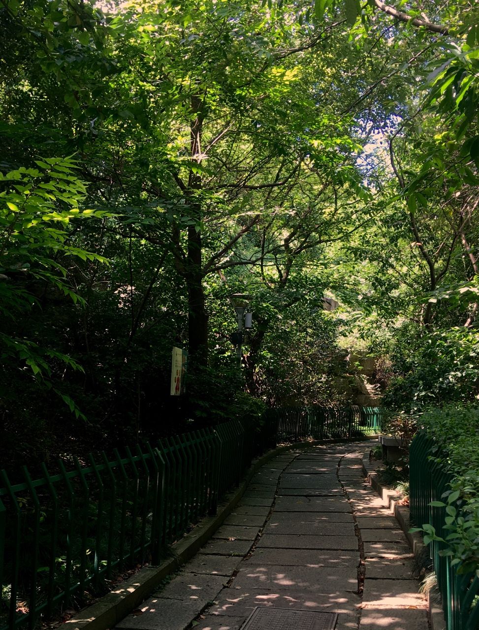 虎屿公园旅行图片 1