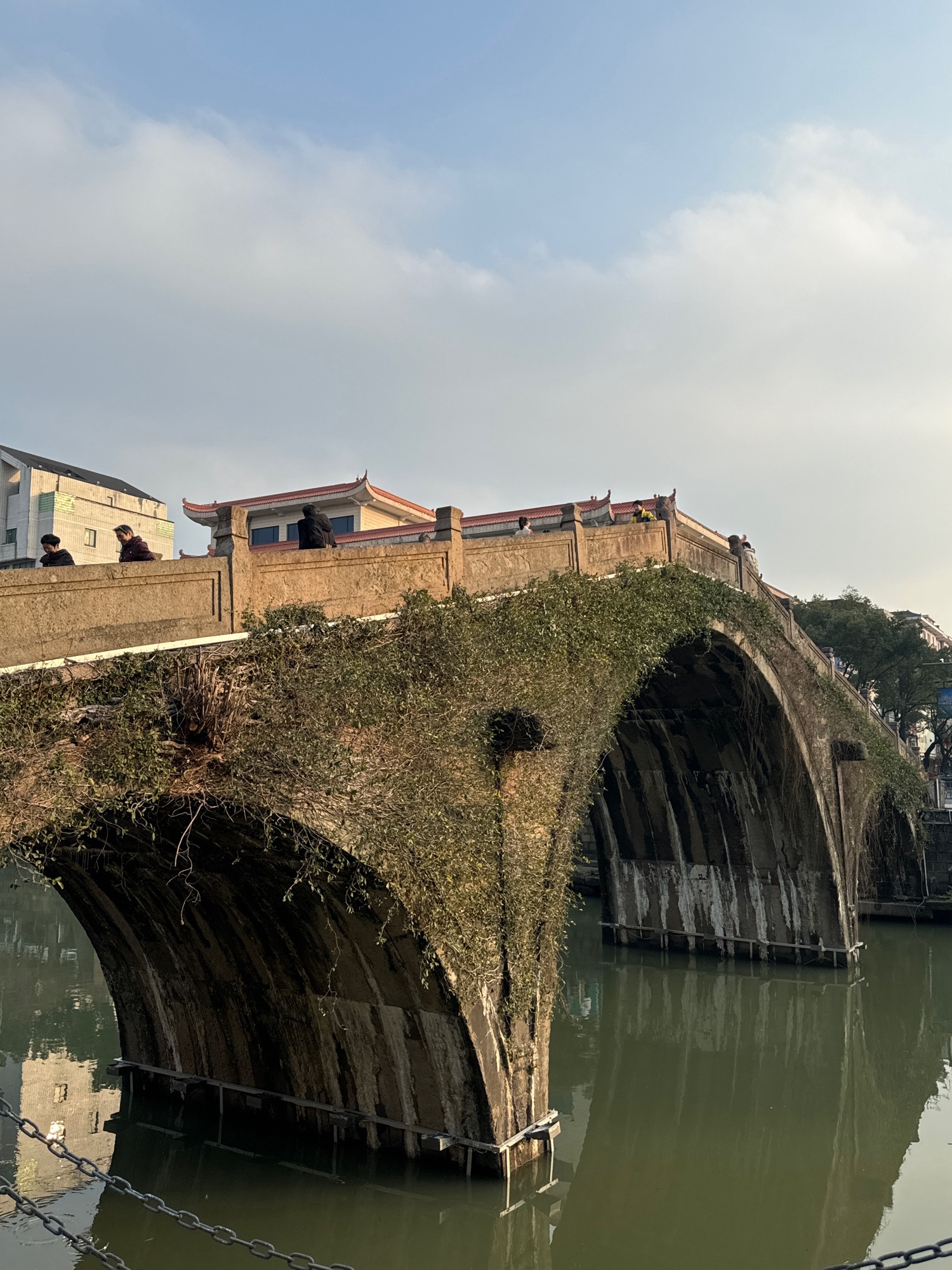 通济桥旅行图片 1