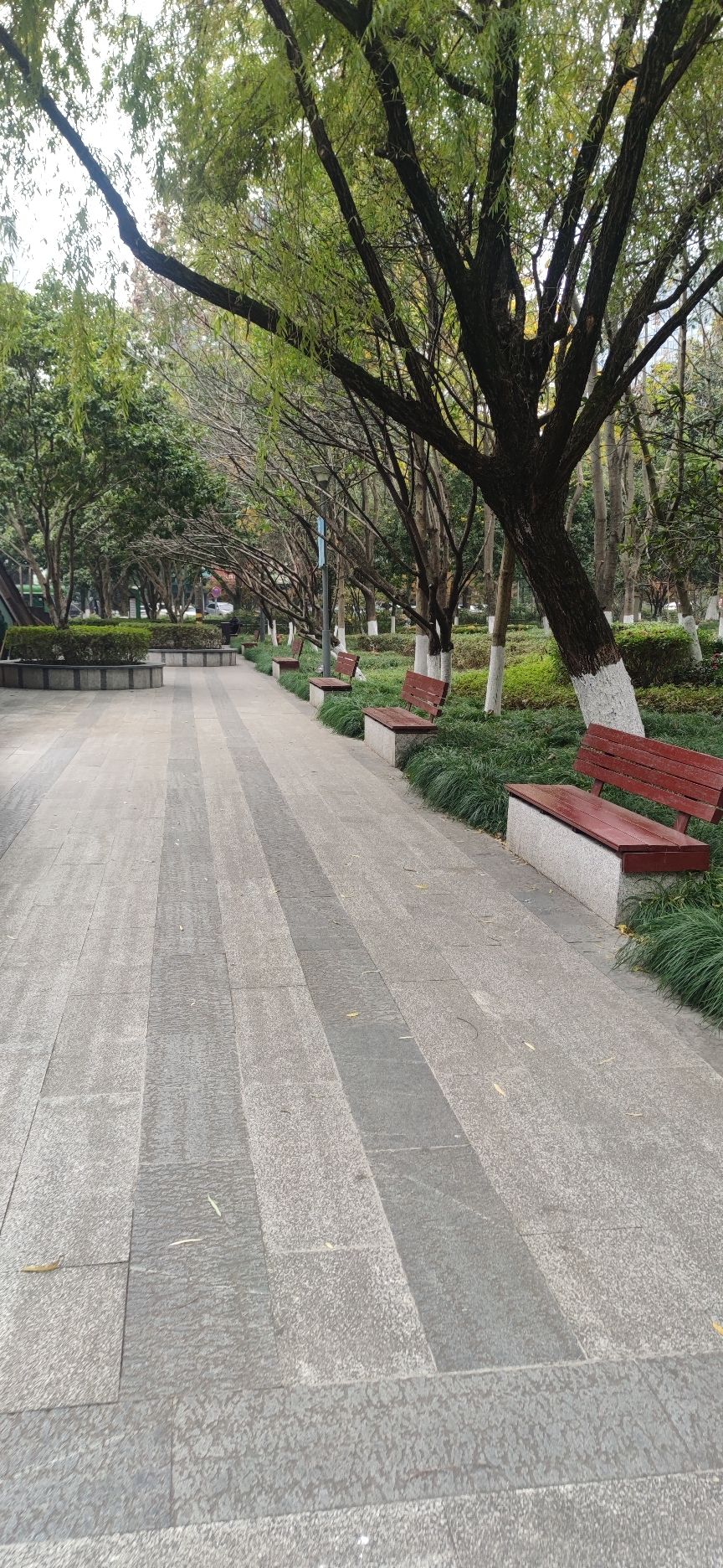 百丈公园旅行图片 1