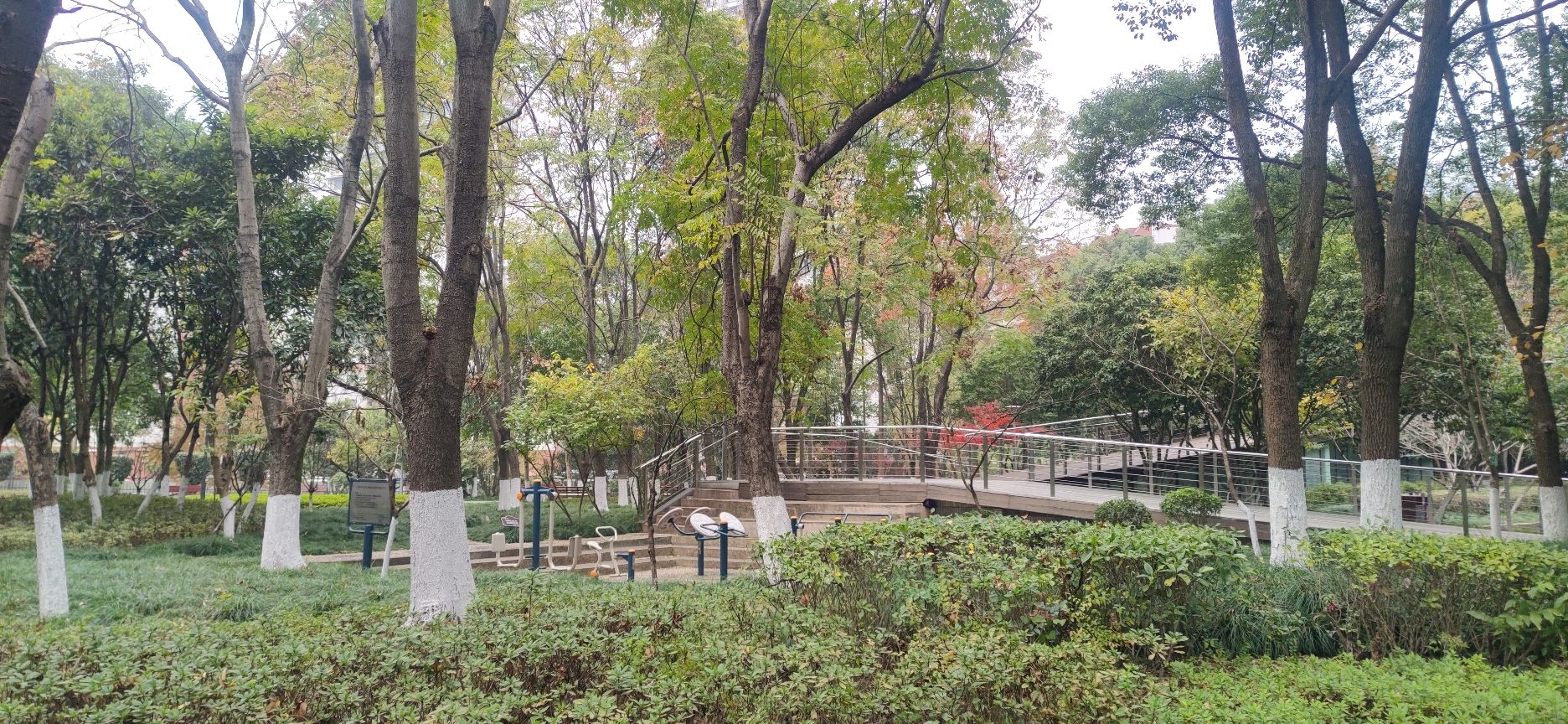 百丈公园旅行图片 3