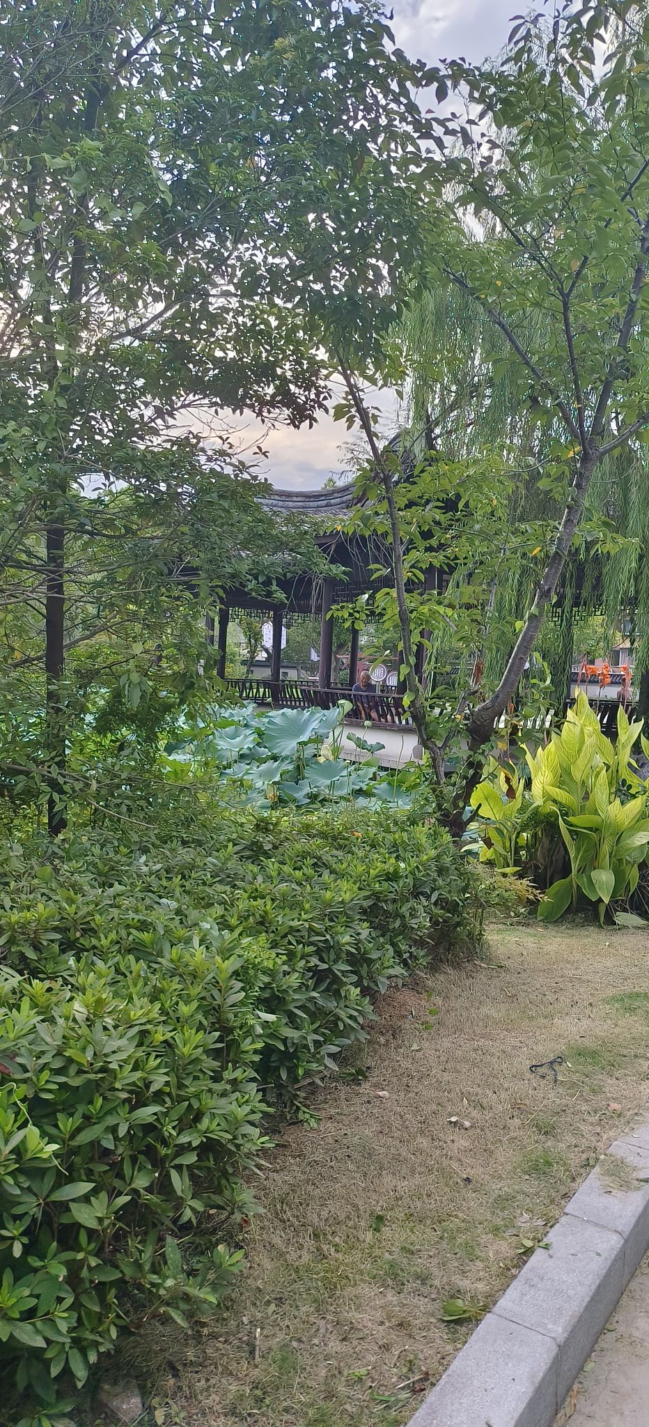 春晖公园旅行图片 3