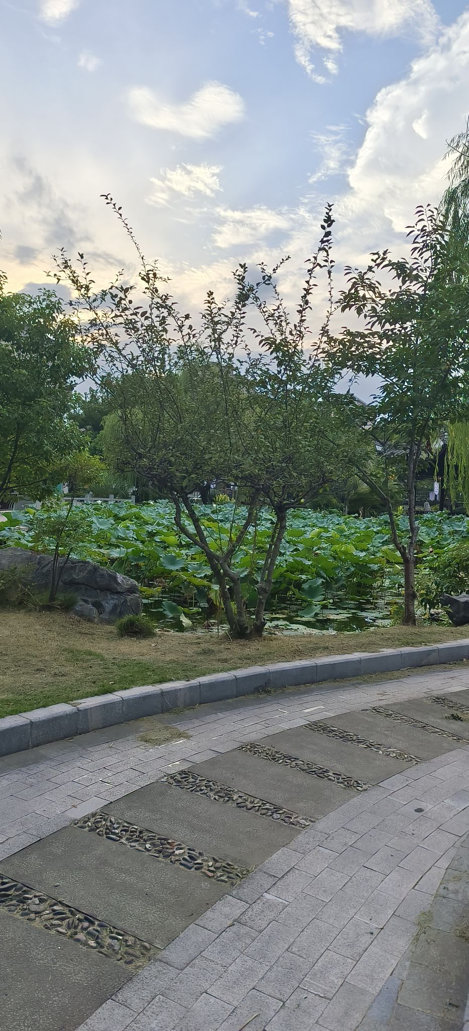 春晖公园旅行图片 2
