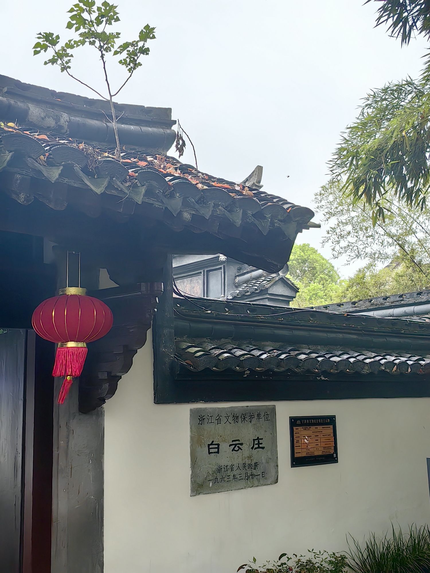 白云庄旅行图片 1